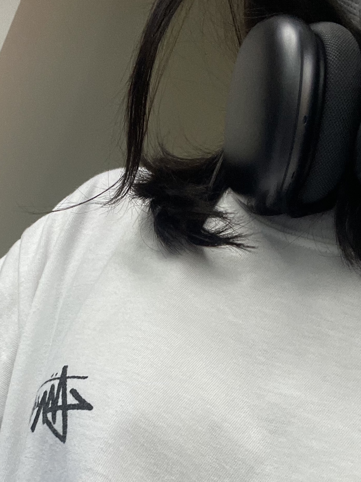 Apple AirPods Max Lightning Space Gray (Korean Ver.), Stussy Fuzzy Dice T-Shirt White 착용 스타일