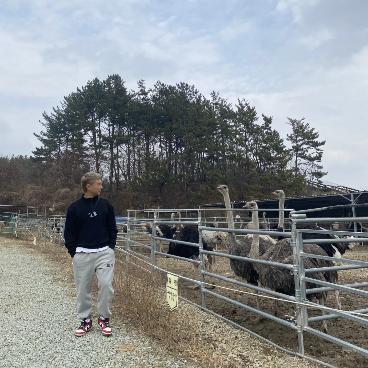 Darkr8m Studio Basic Logo Heavyweight Sweatpants Gray, Darkr8m Studio Quarter Zip Up Sweatshirt Black 착용 스타일 - 1