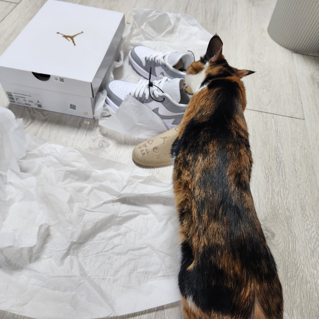 (W) Jordan 1 Low White Wolf Grey 착용 스타일 - 2