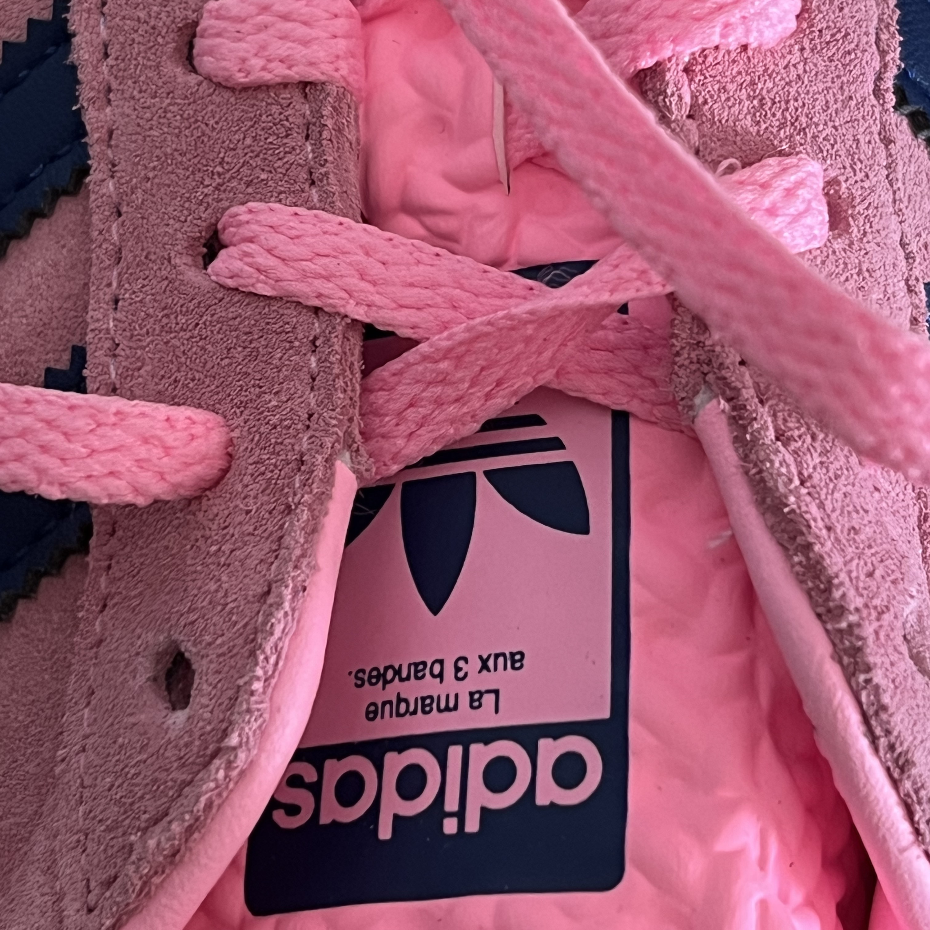 (W) Adidas Gazelle Bold Pink Glow Victory Blue 착용 스타일 - 4