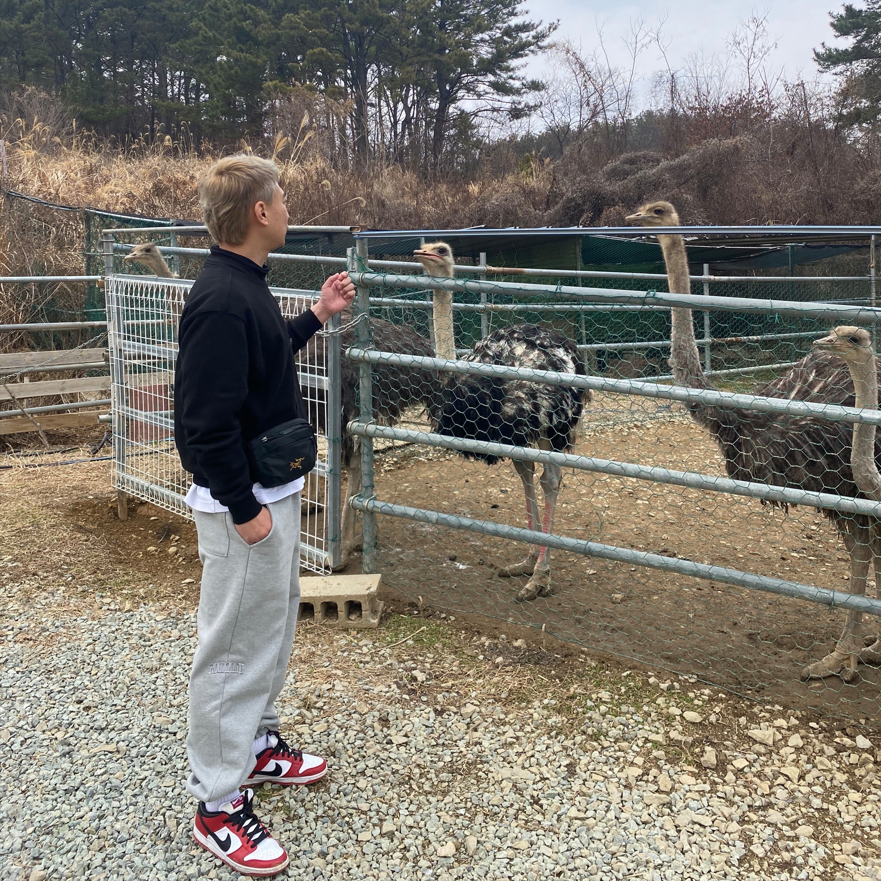 Darkr8m Studio Basic Logo Heavyweight Sweatpants Gray, Darkr8m Studio Quarter Zip Up Sweatshirt Black 착용 스타일 - 2