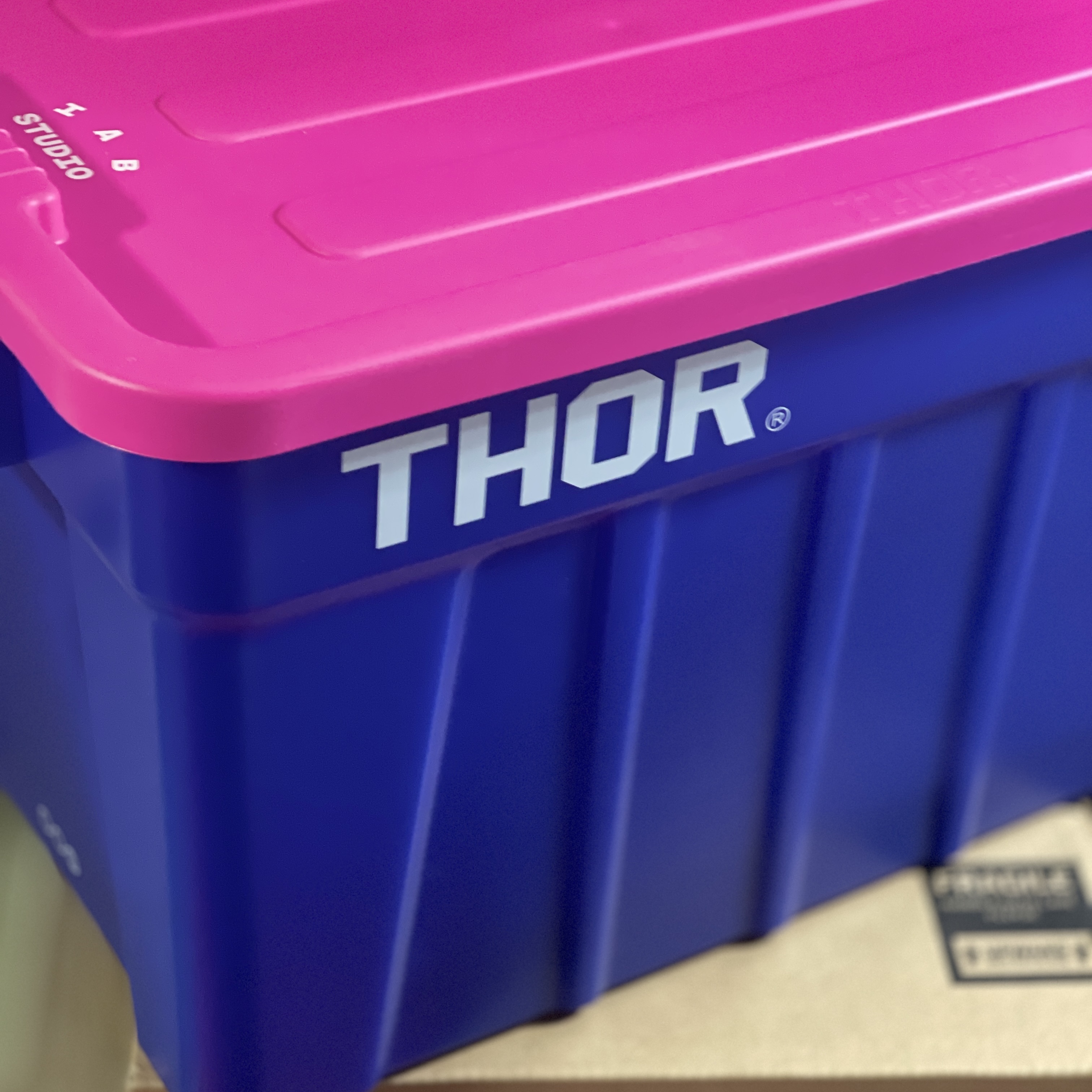 IAB Studio x Thor Fleece & 75L Container Pack Blue Pink 착용 스타일 - 1