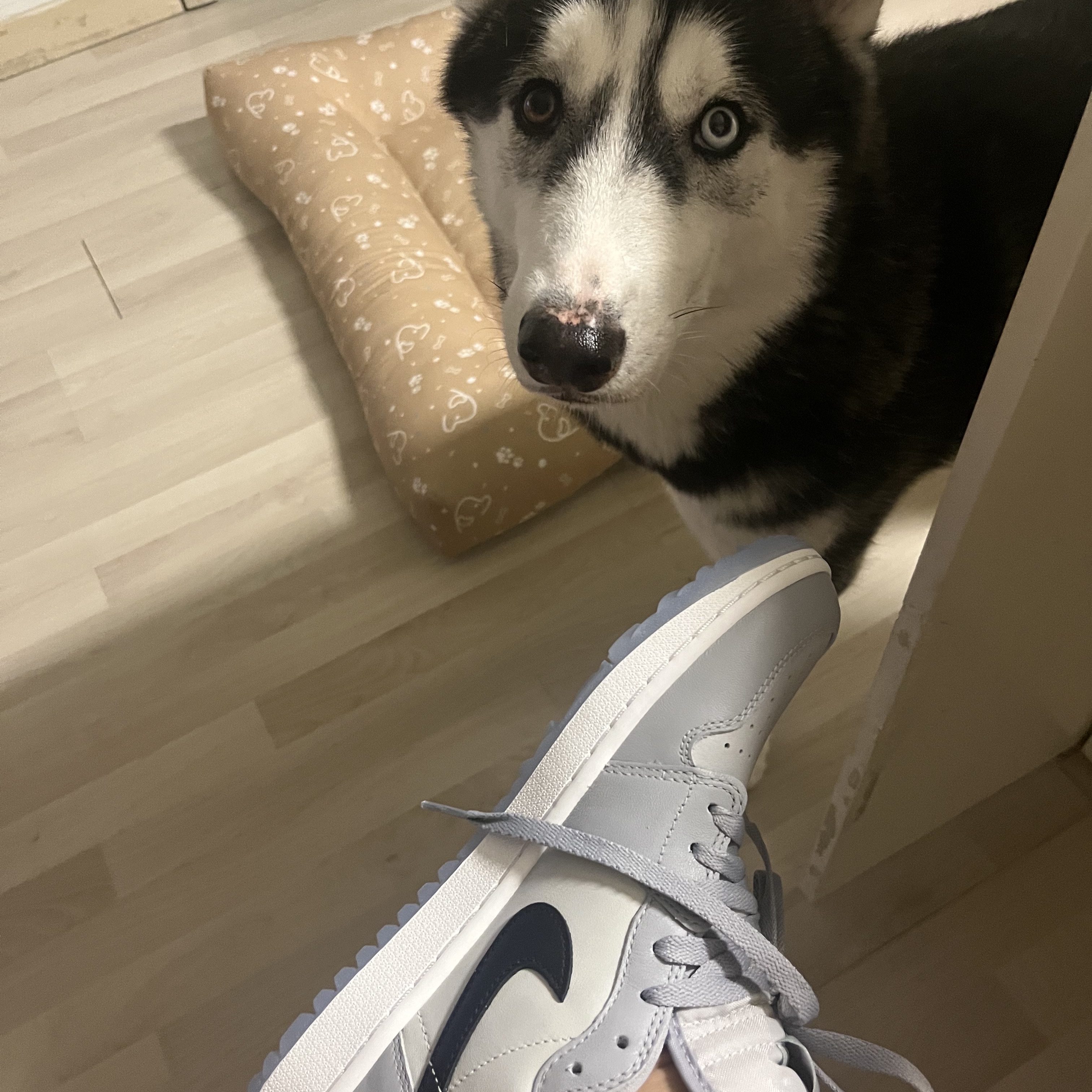 Jordan 1 Low Golf Wolf Grey 착용 스타일