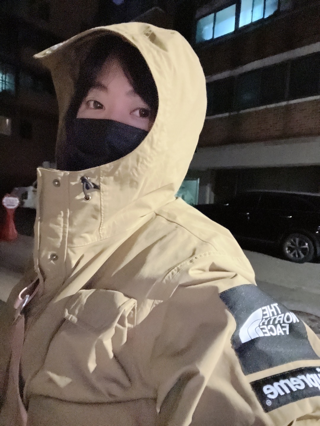 Supreme x The North Face Cargo Jacket Gold - 20SS 착용 스타일 - 2