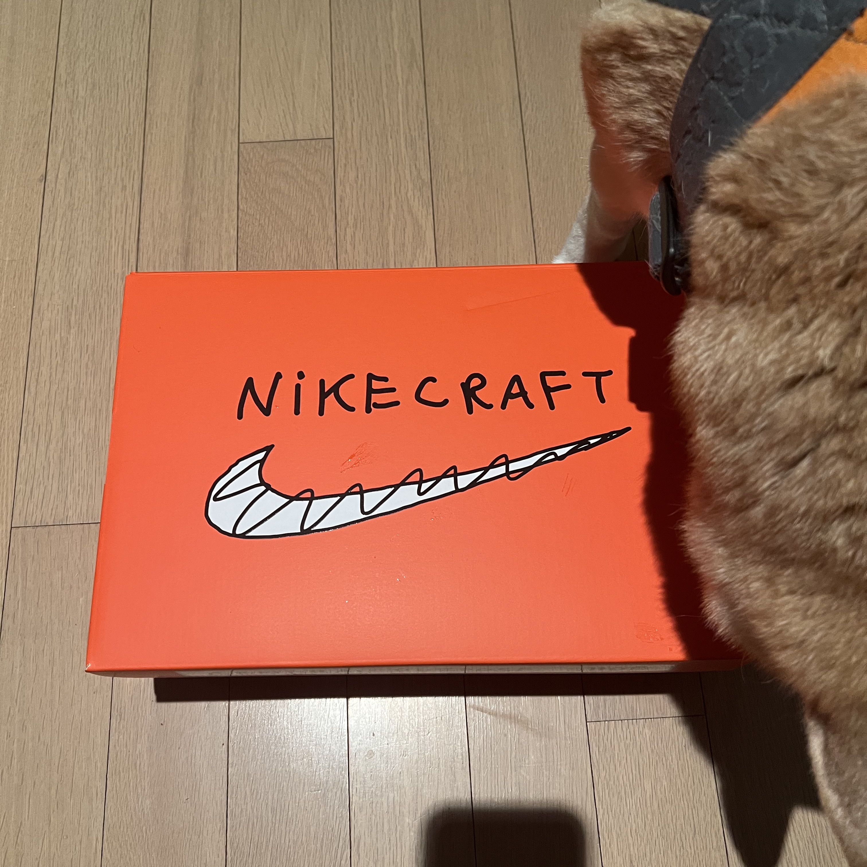 Nike x Tom Sachs General Purpose Shoe Brown 착용 스타일 - 1