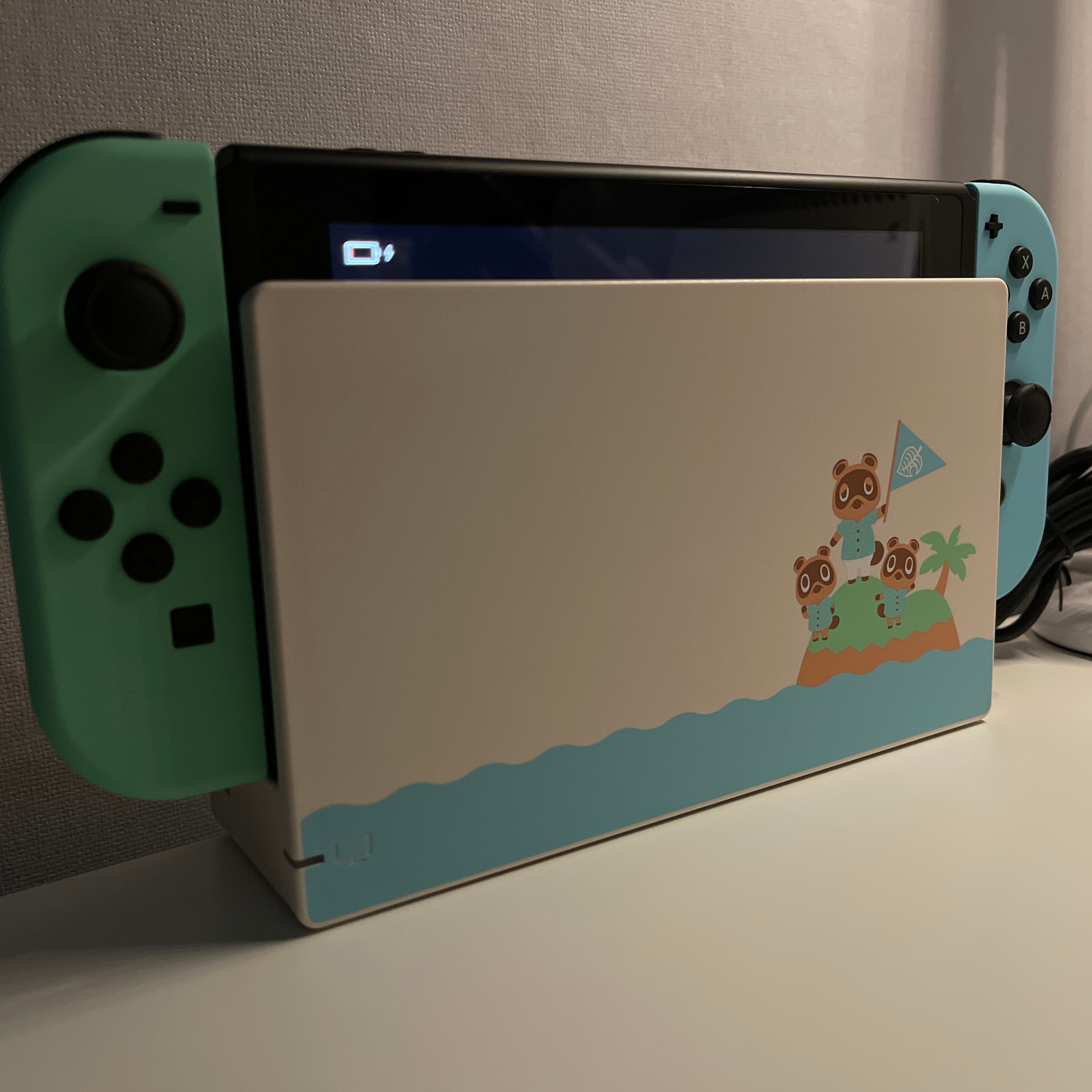 Nintendo Switch Animal Crossing Edition (Korean Ver.) 착용 스타일 - 1