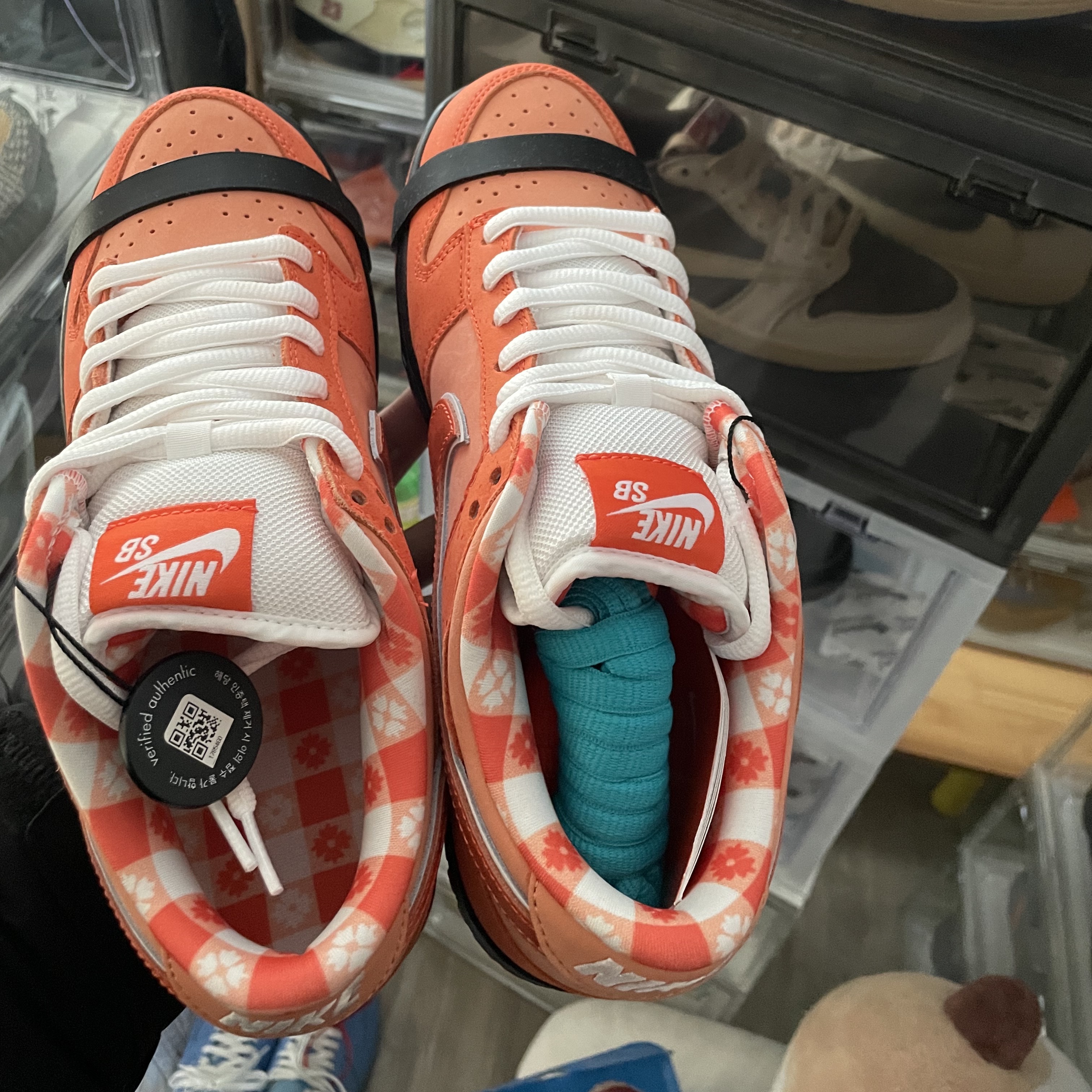 Nike x Concepts SB Dunk Low Orange Lobster (Regular Box), Nike x Frame Skate SB Dunk Low Pro Habibi 착용 스타일 - 1
