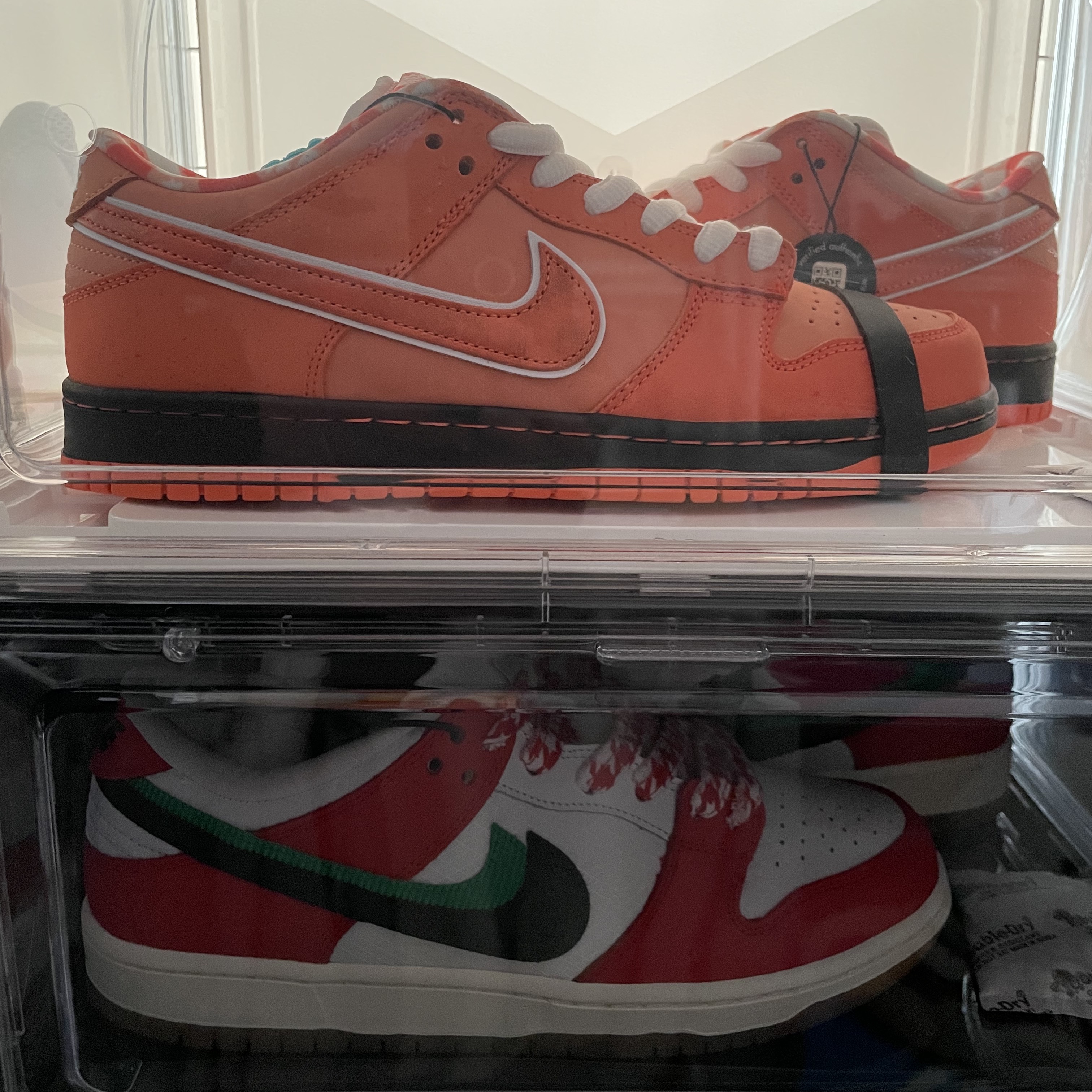 Nike x Concepts SB Dunk Low Orange Lobster (Regular Box), Nike x Frame Skate SB Dunk Low Pro Habibi 착용 스타일 - 3