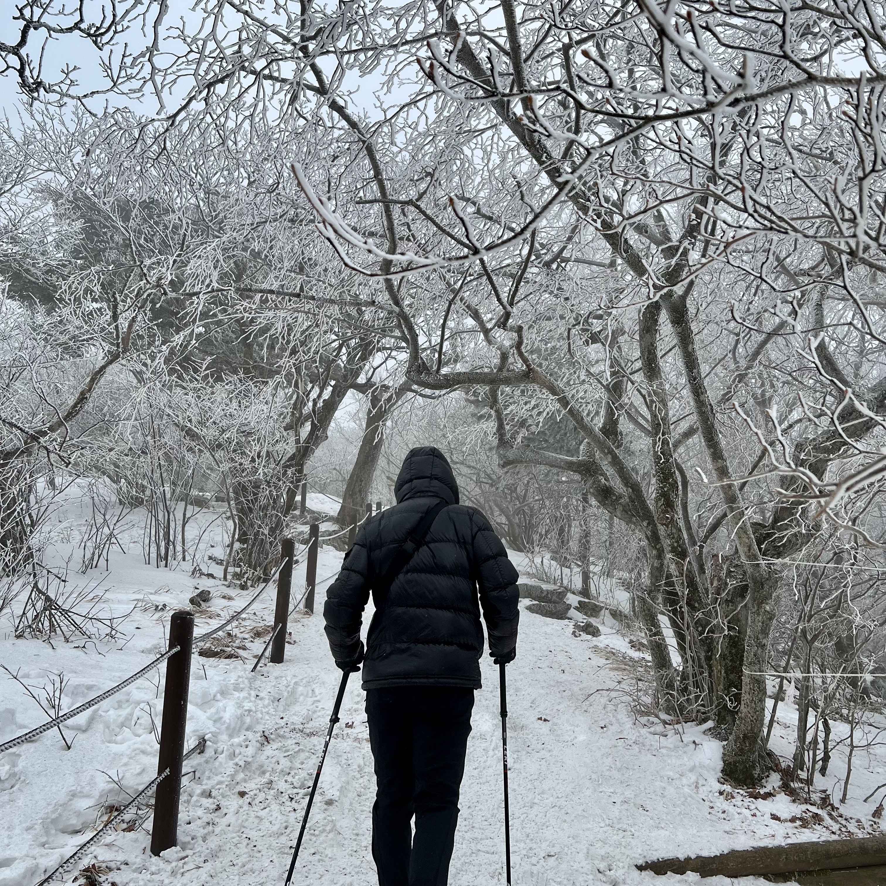 Moncler Maya Short Down Jacket Black - 22FW 착용 스타일 - 3