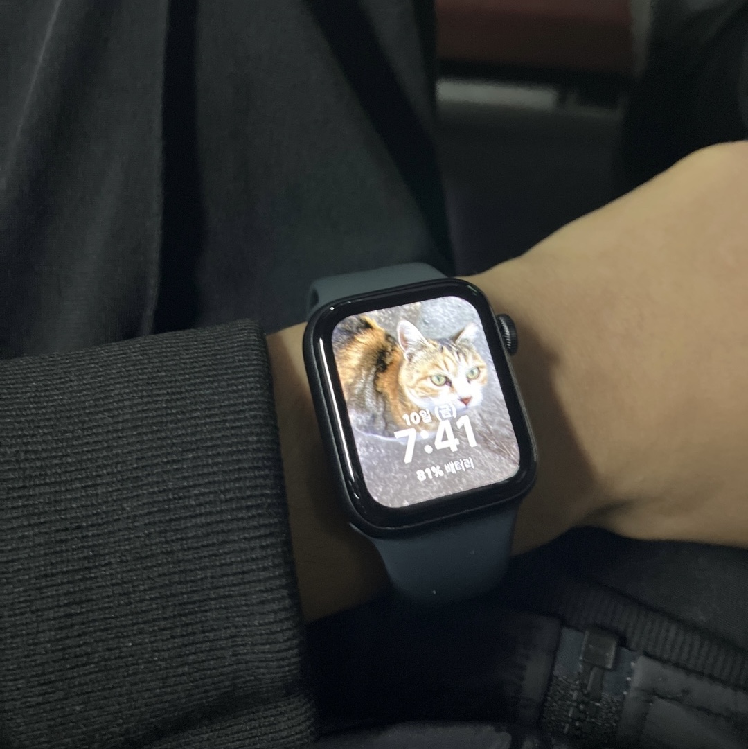 Apple Watch SE 40mm GPS Space Gray Aluminum Case with Sport Band Midnight (Korean Ver.) 착용 스타일