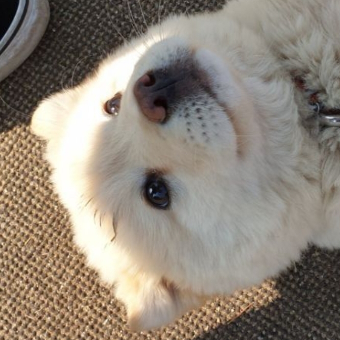 관심 유저 프로필 이미지