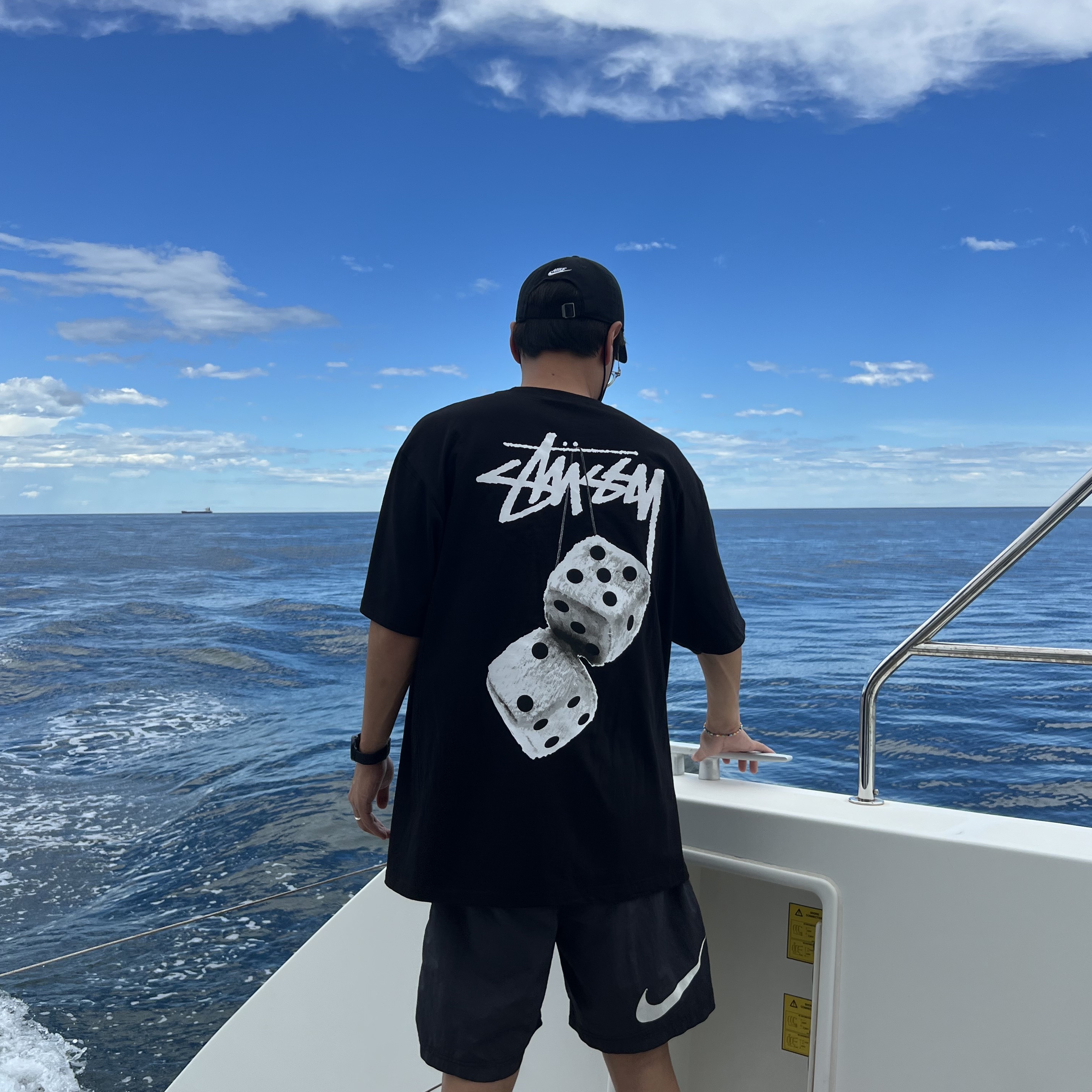 Stussy Fuzzy Dice T-Shirt Black, Nike x Stussy Water Shorts Off Noir 착용 스타일