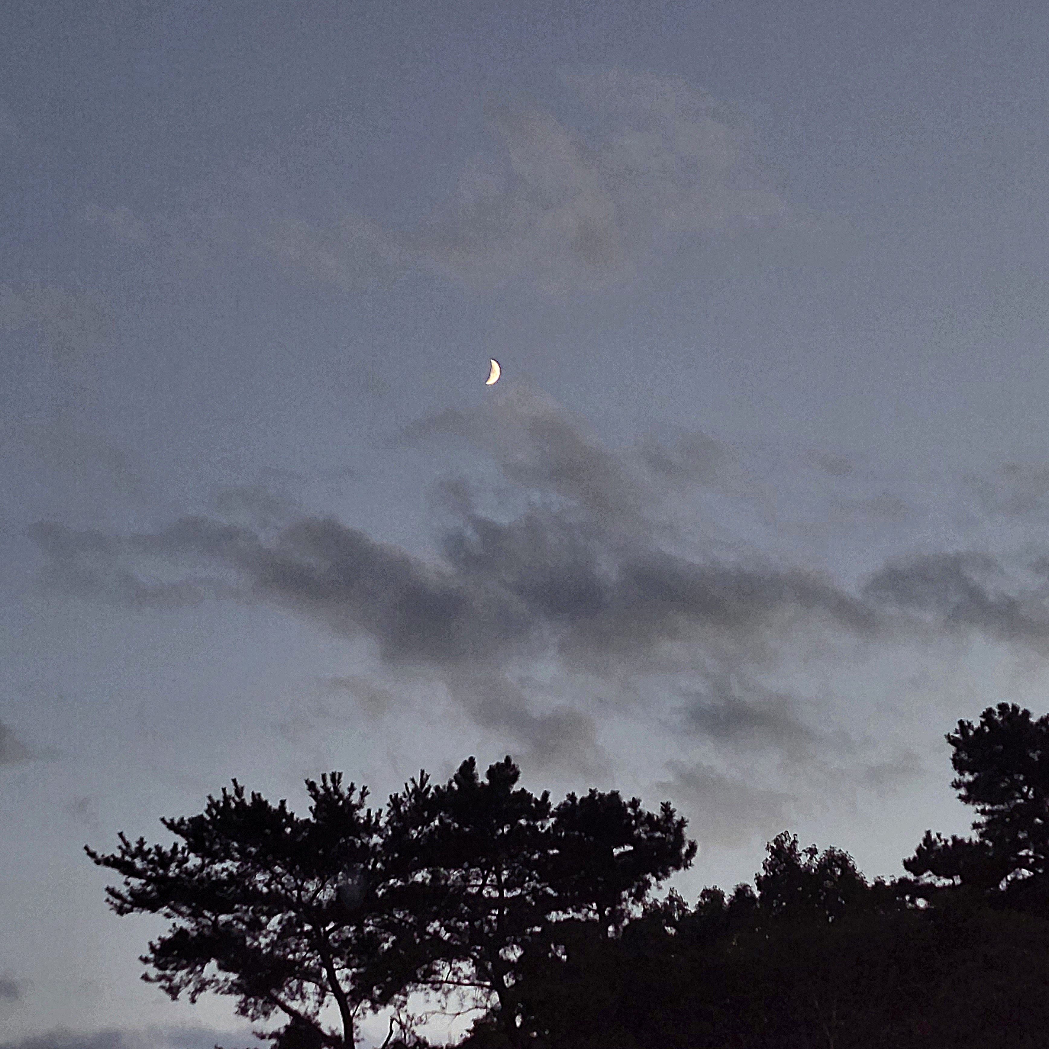 hellobear님의 스타일