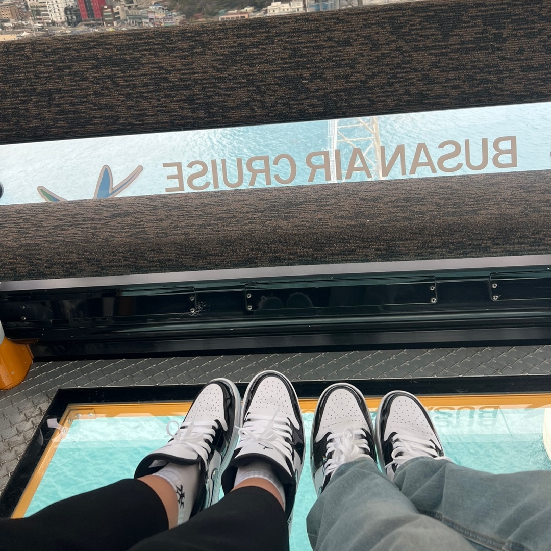 Jordan 1 Low SE Concord 착용 스타일 - 1