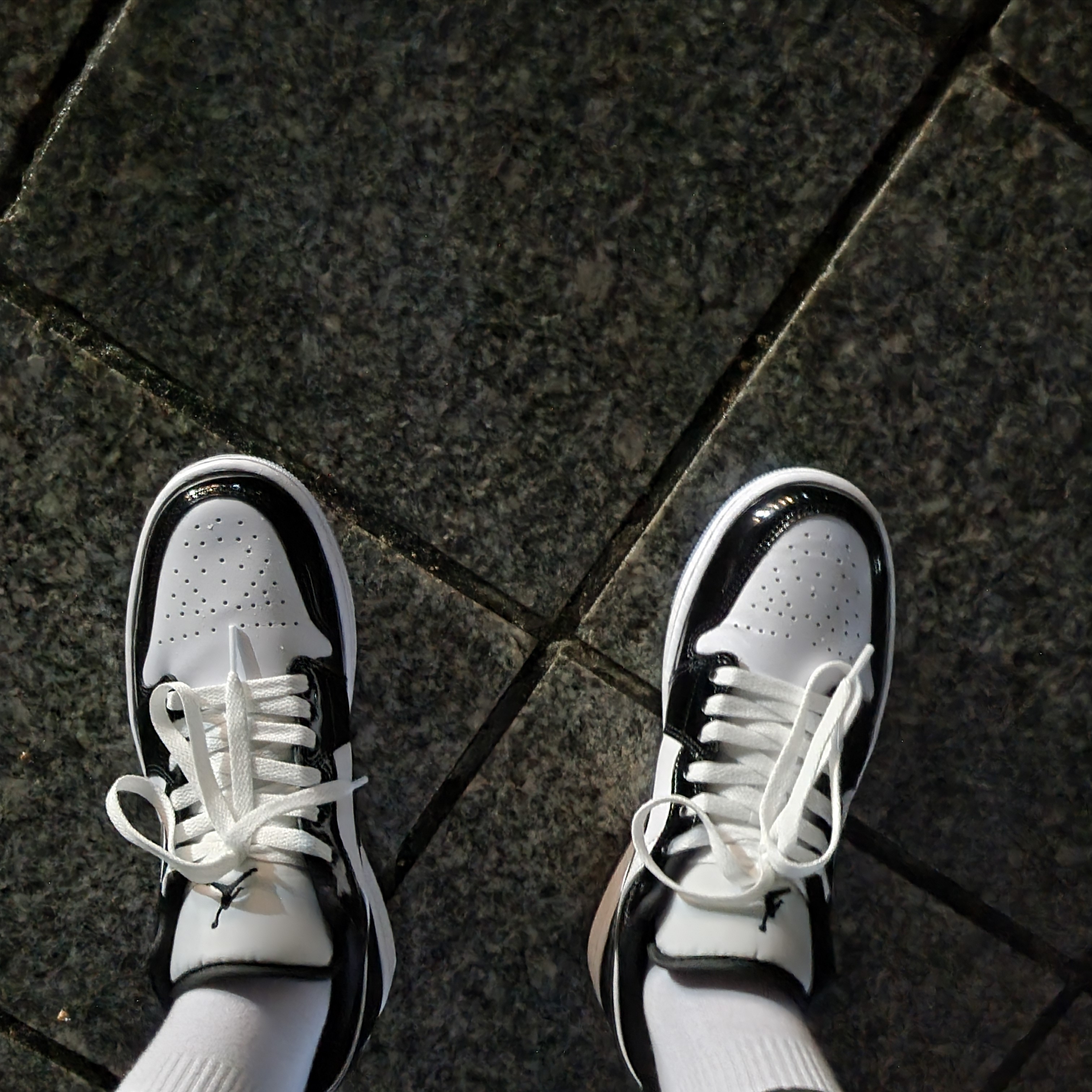 Jordan 1 Low SE Concord 착용 스타일