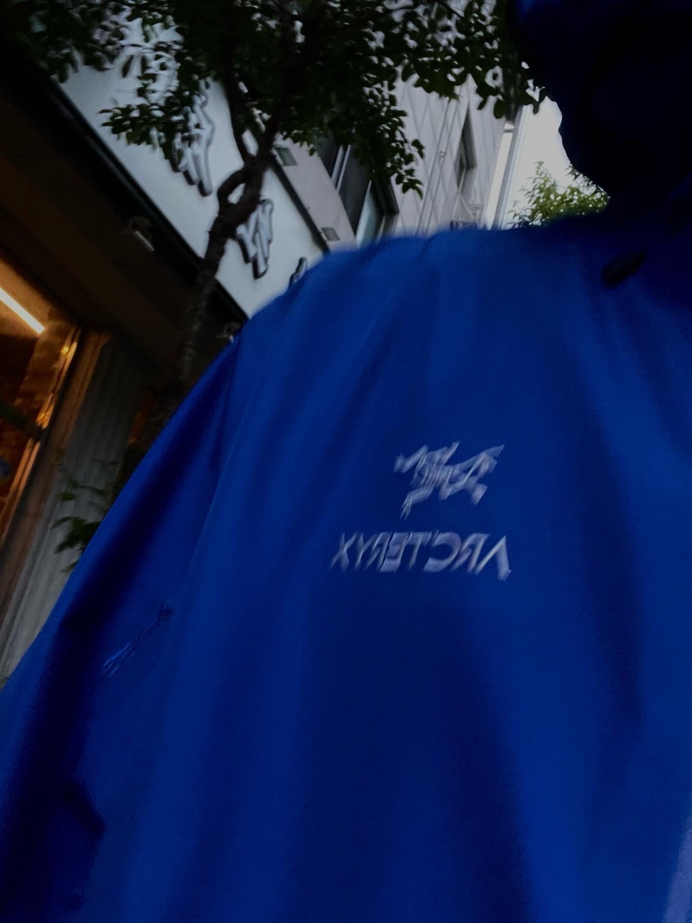 Arc'teryx Beta LT Jacket Vitality 착용 스타일 - 4