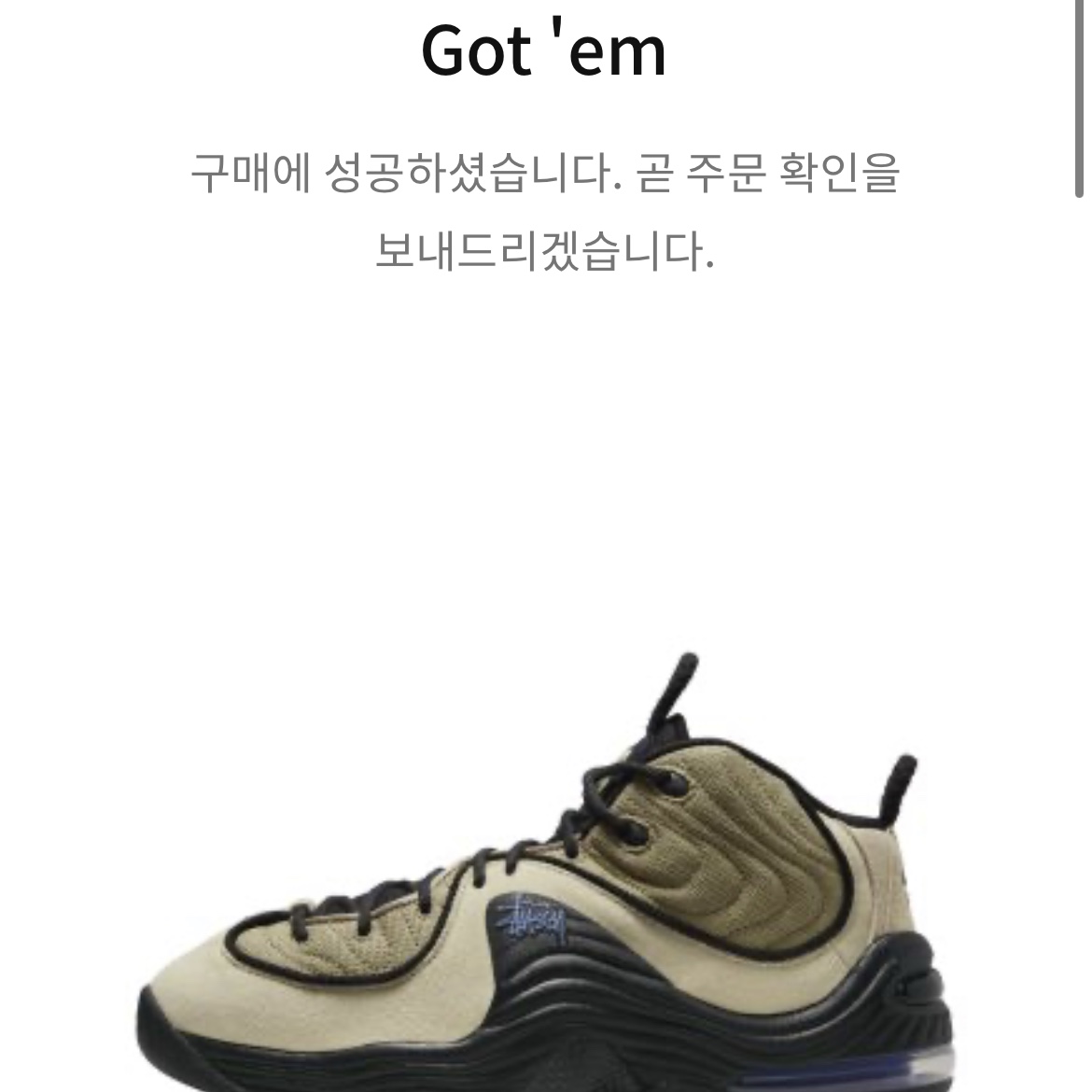 Nike x Stussy Air Penny II Rattan and Limestone 착용 스타일