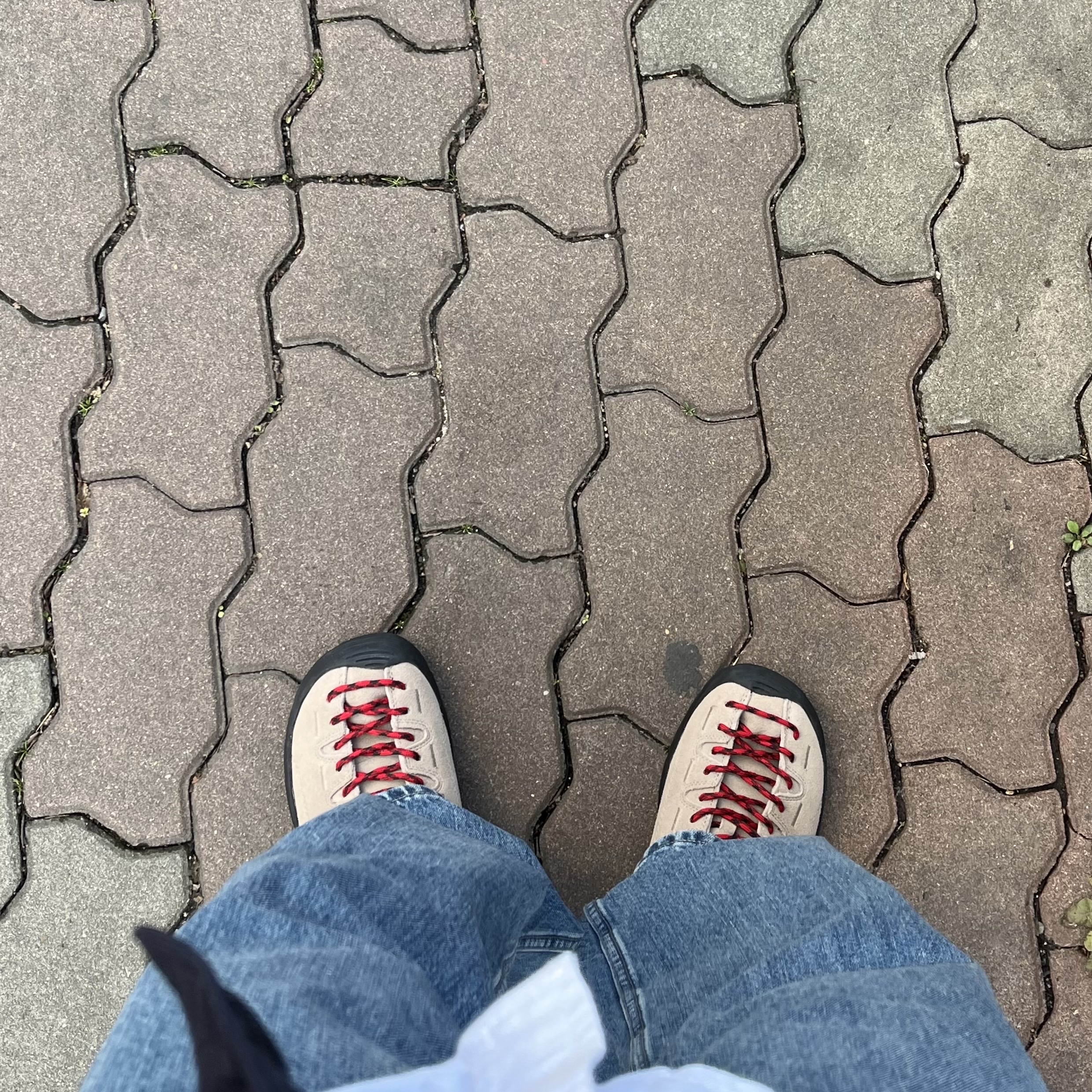 Keen Jasper Suede Sneakers Silver Mink 착용 스타일