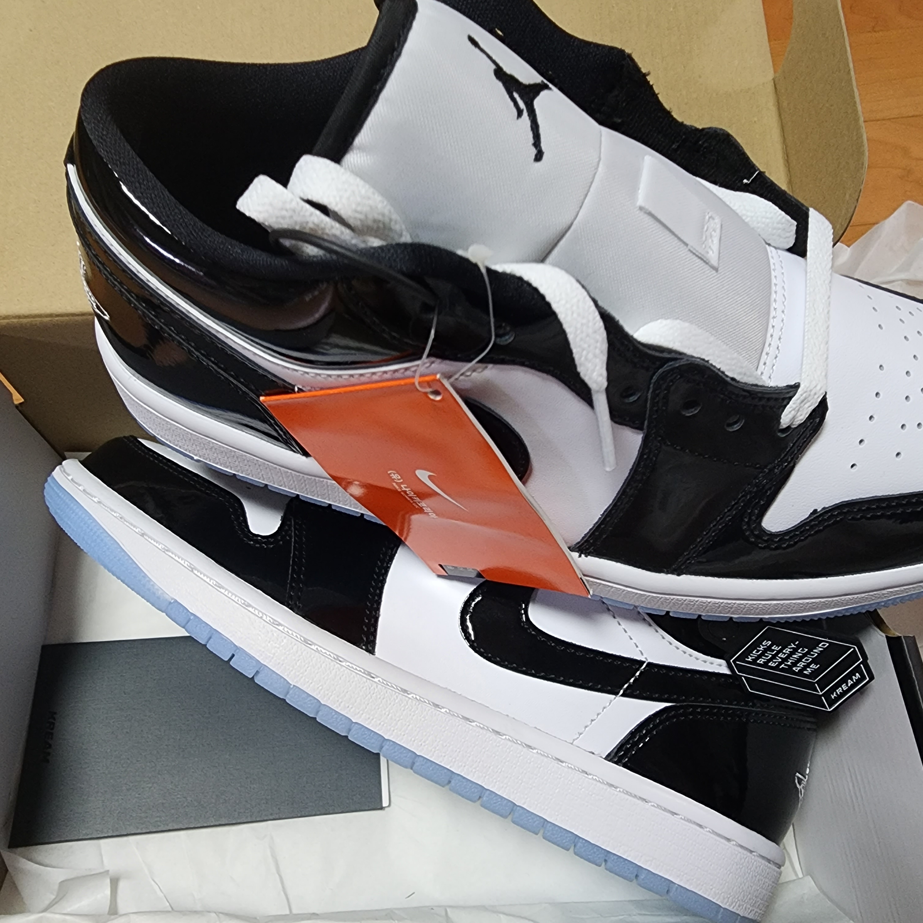 Jordan 1 Low SE Concord 착용 스타일 - 1