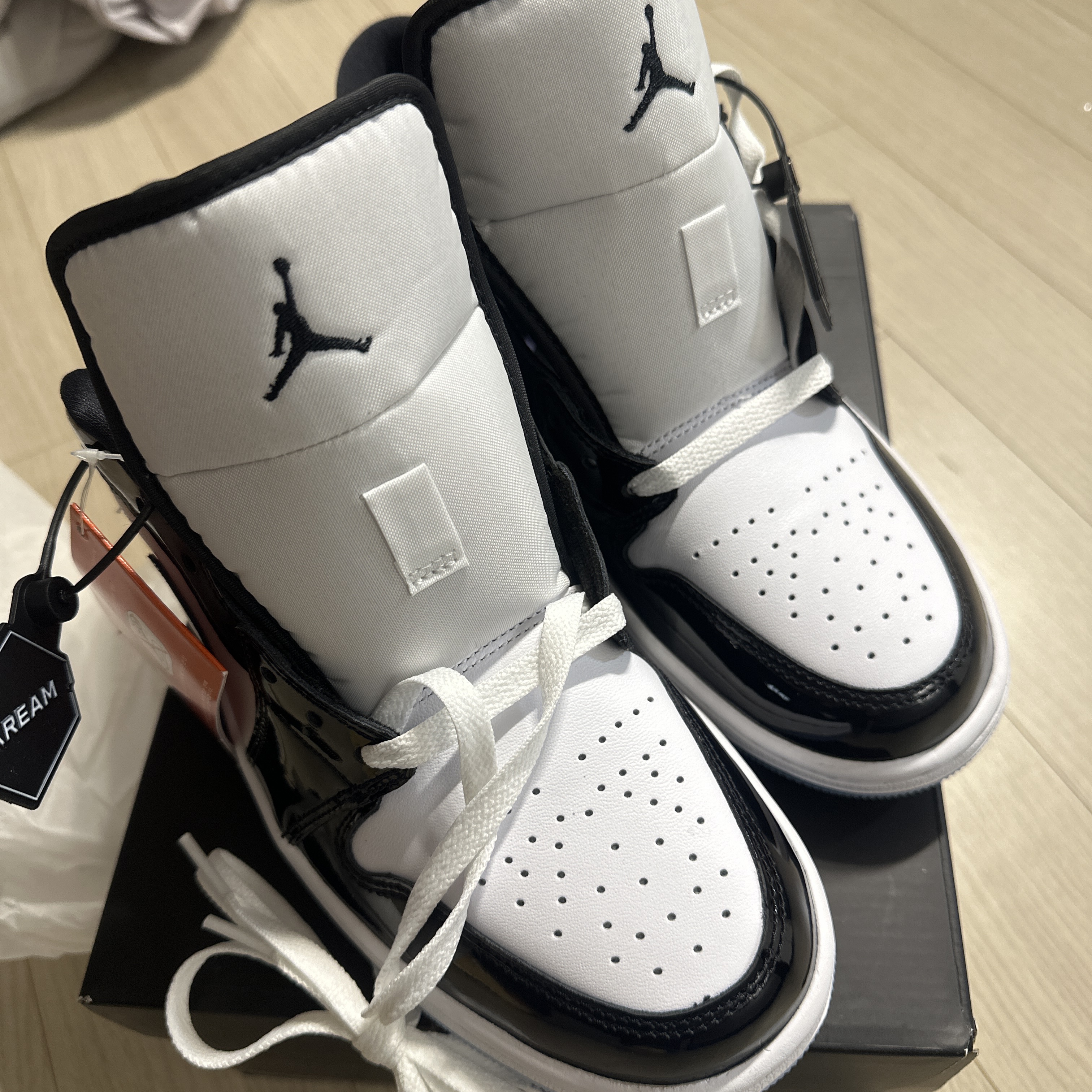 Jordan 1 Low SE Concord 착용 스타일