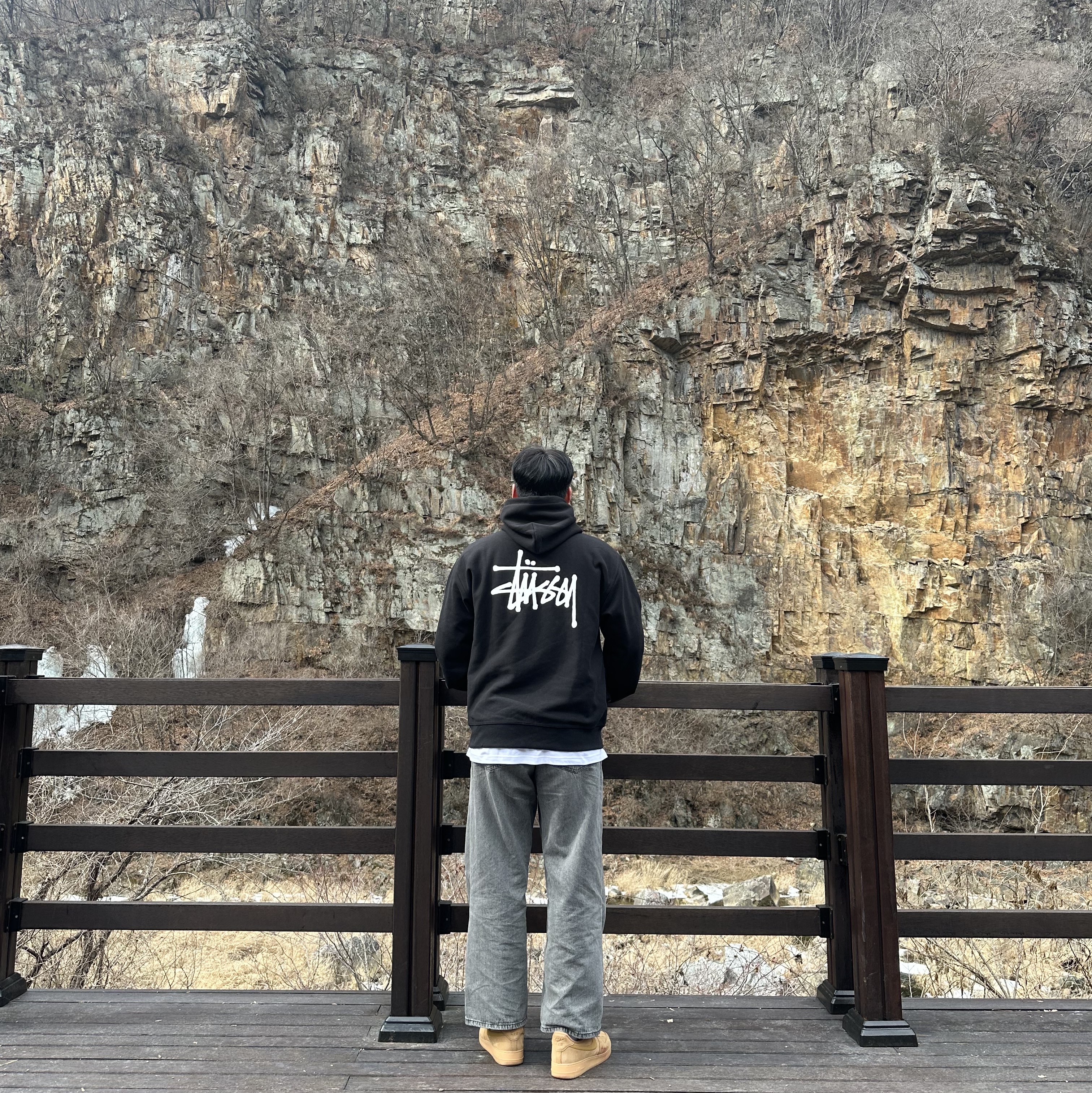 Stussy Basic Stussy Hoodie Black 2022, Nike Air Force 1 '07 WB Flax 착용 스타일