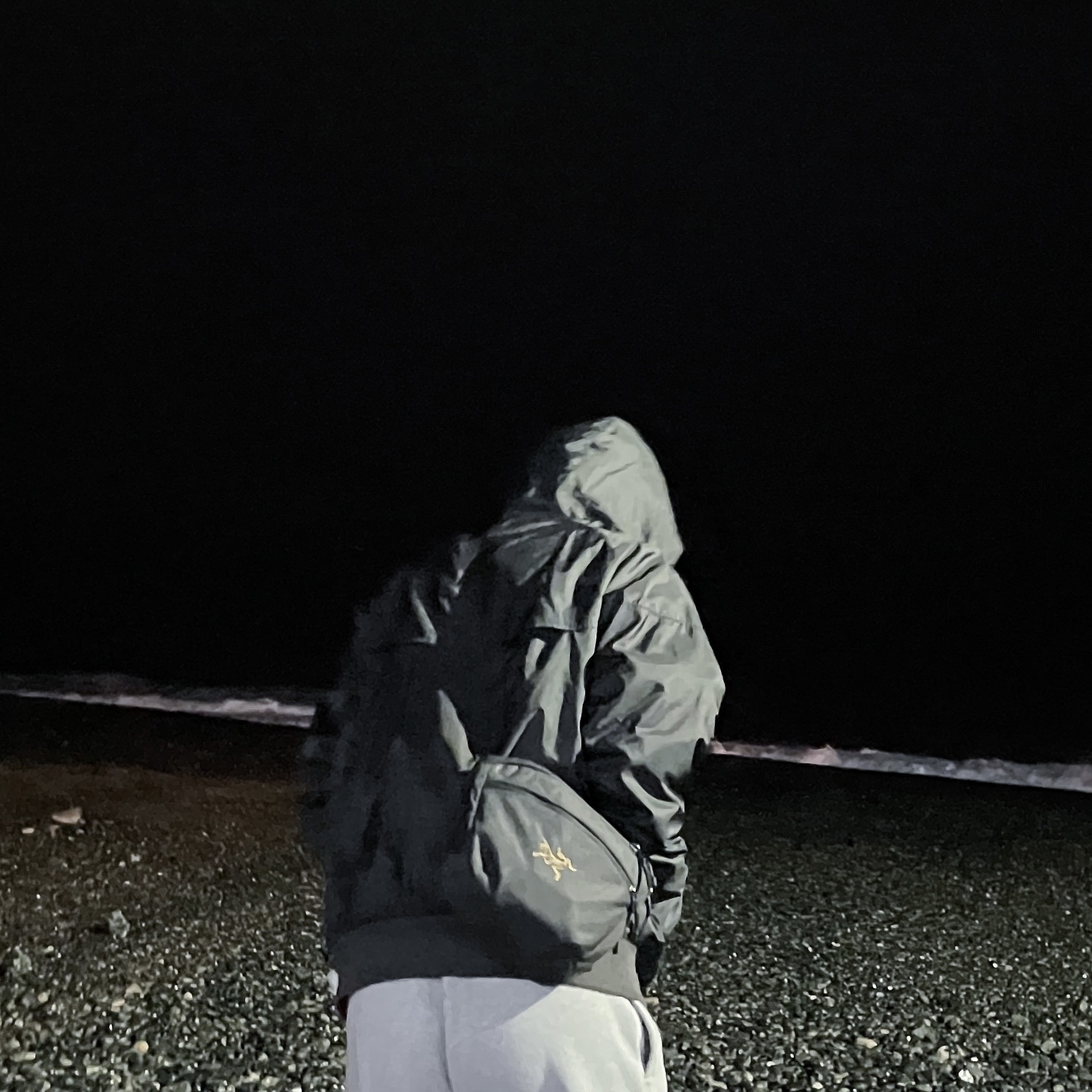 Arc'teryx Mantis 2 Waistpack 24K Black, Nike NSW Windrunner Hoodie Jacket Black - Asia 착용 스타일