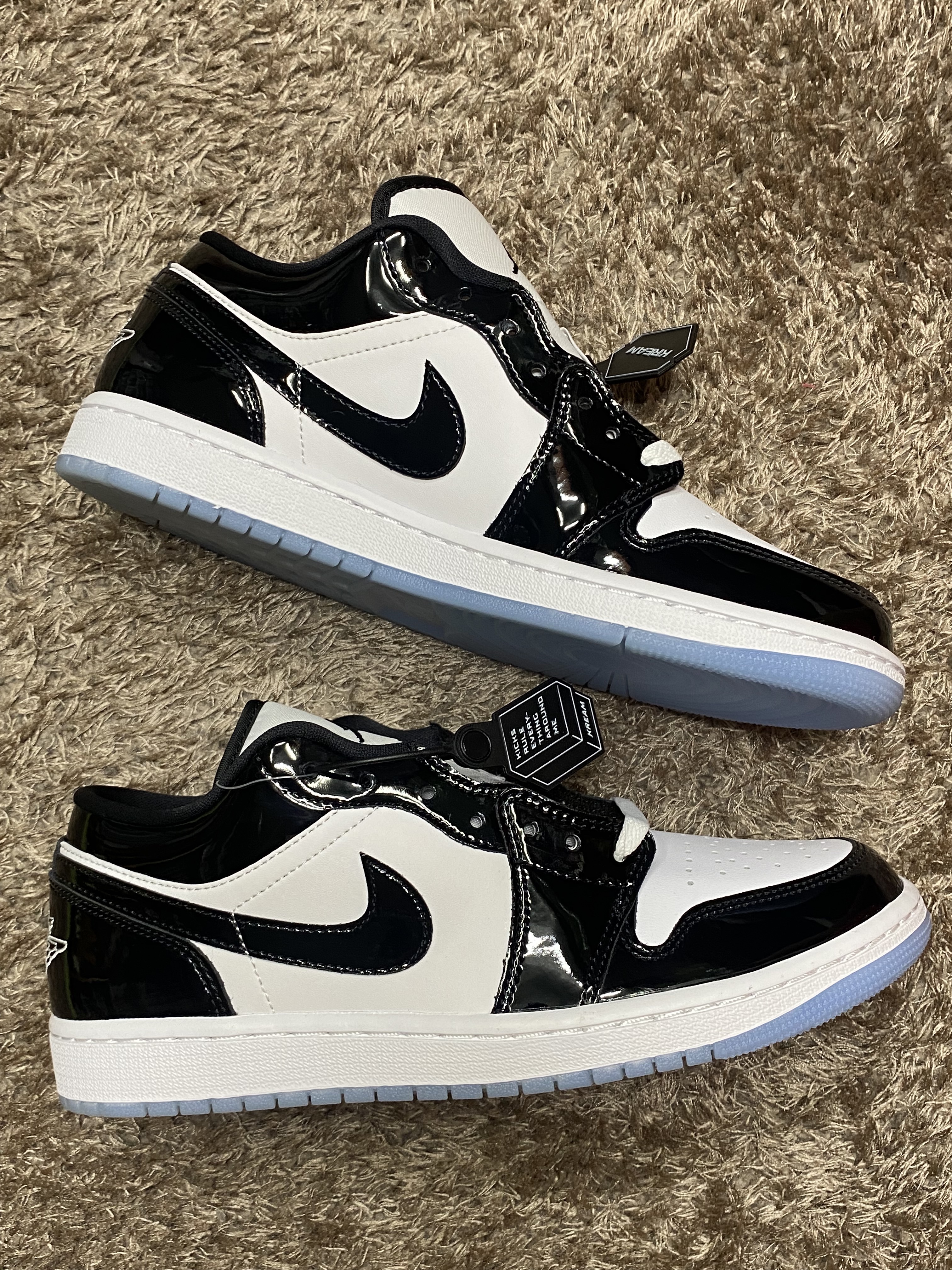 Jordan 1 Low SE Concord 착용 스타일