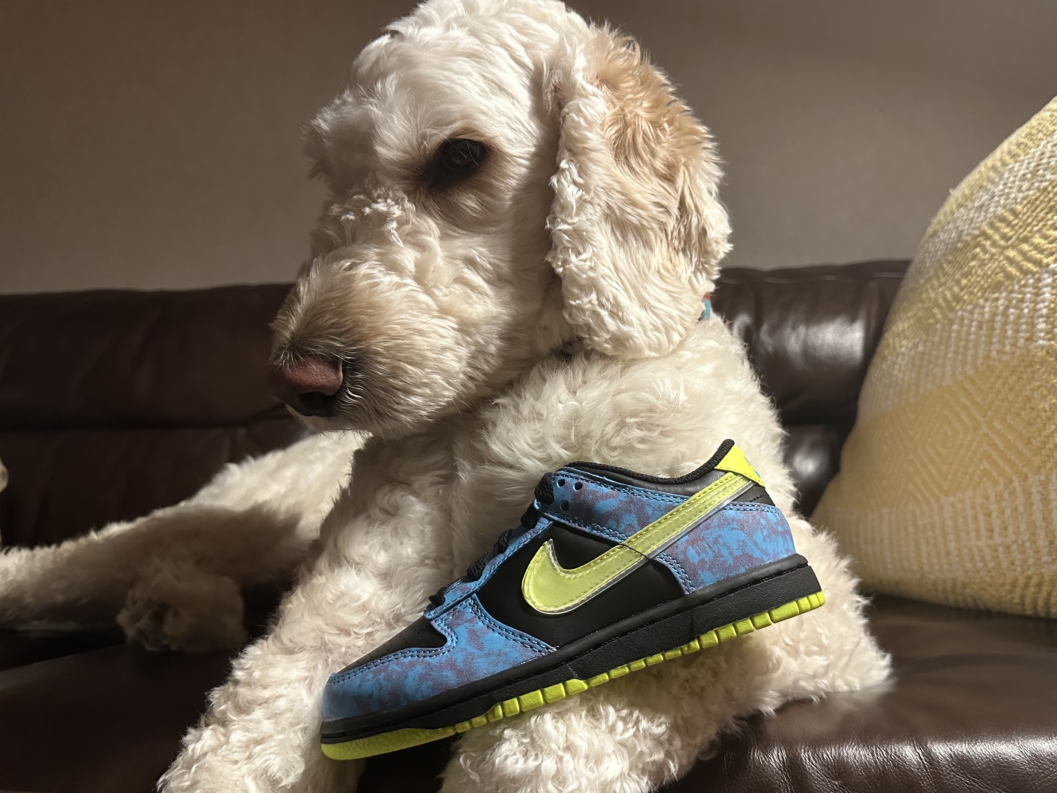 (PS) Nike Dunk Low Volt and Black 착용 스타일 - 1