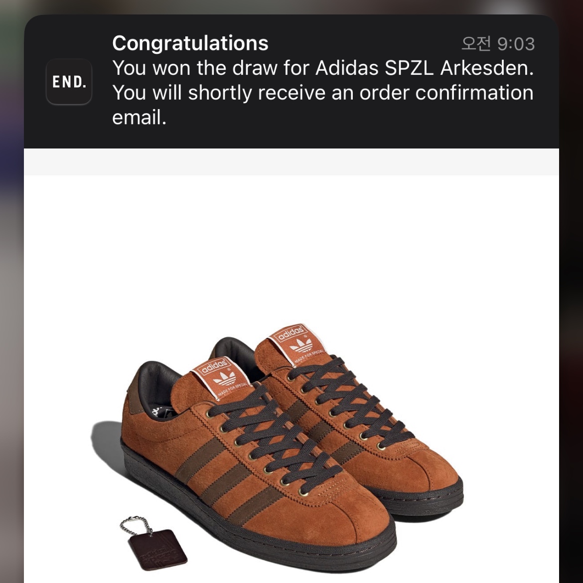 Adidas Hochelaga Spezial Night Indigo, Adidas Arkesden Spezial Fox Red 착용 스타일 - 2