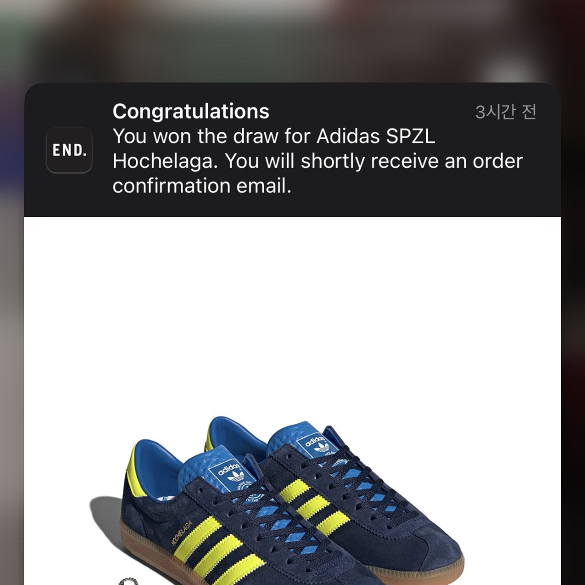 Adidas Hochelaga Spezial Night Indigo, Adidas Arkesden Spezial Fox Red 착용 스타일 - 1