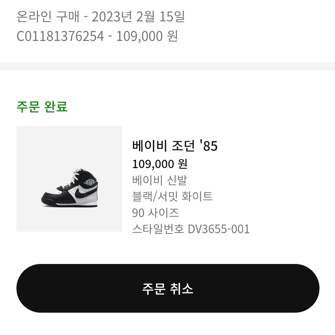 (TD) Jordan 1 High 85 Black White 착용 스타일