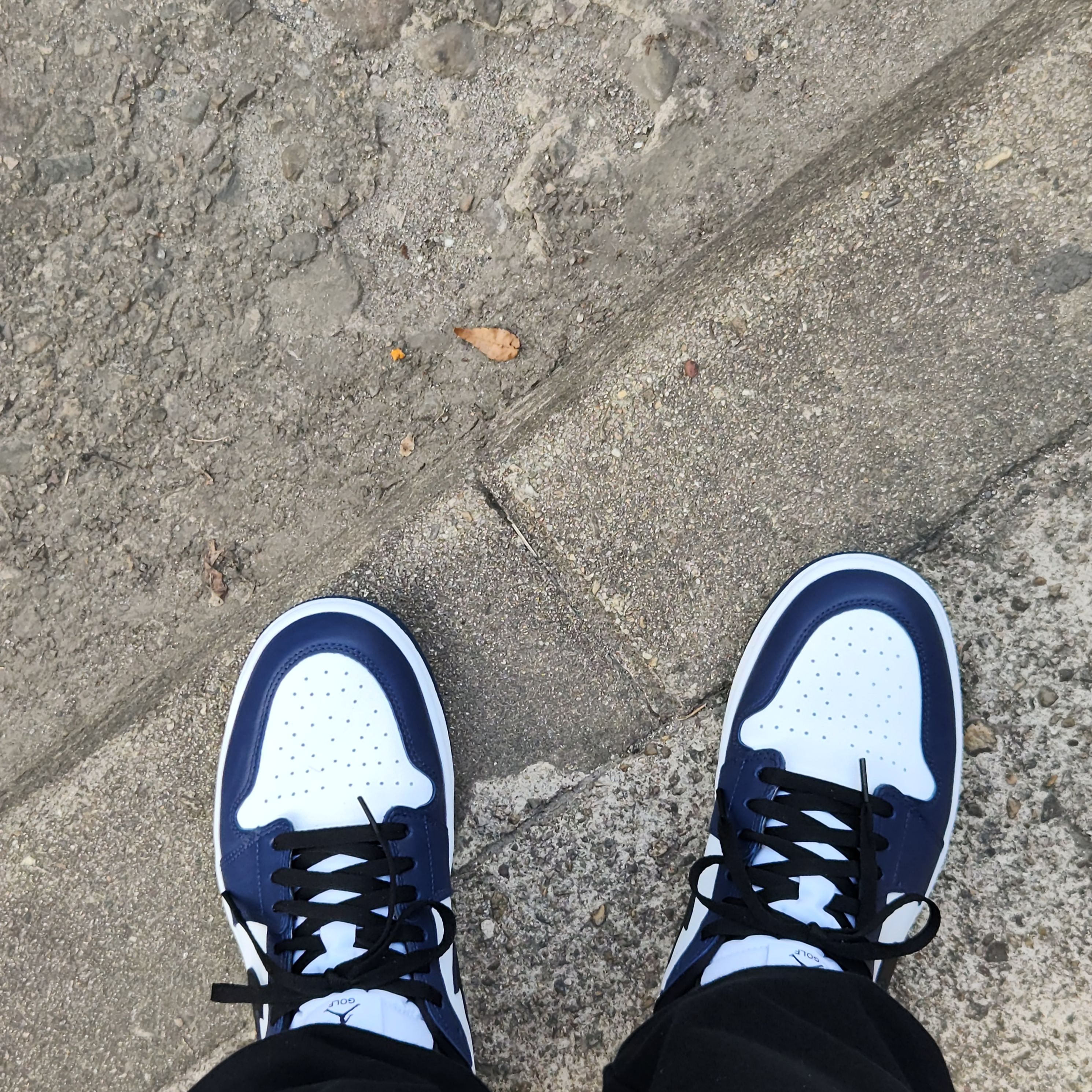 Jordan 1 Low Golf Midnight Navy, (W) Jordan 1 Elevate Low Midnight Navy 착용 스타일 - 2
