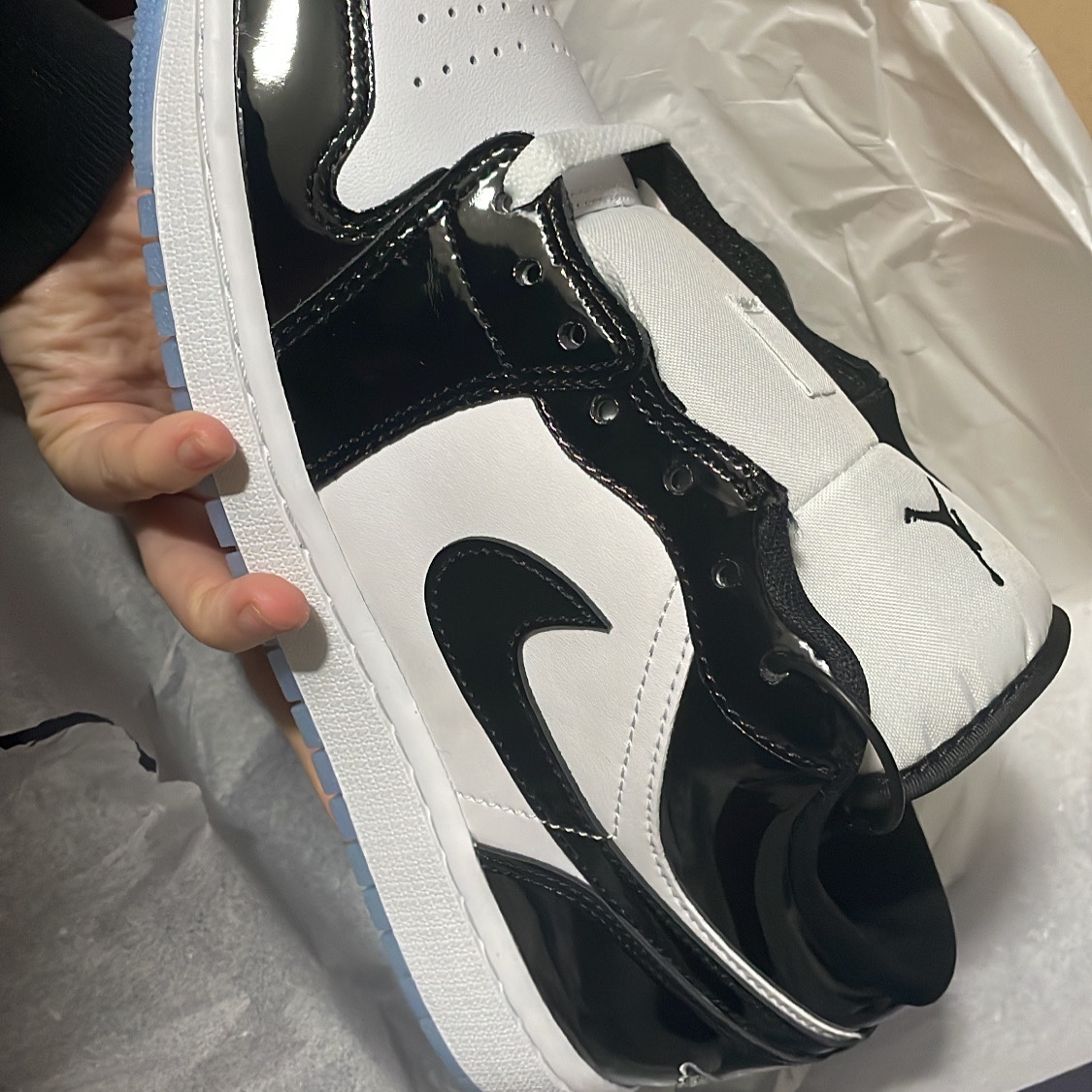 Jordan 1 Low SE Concord 착용 스타일