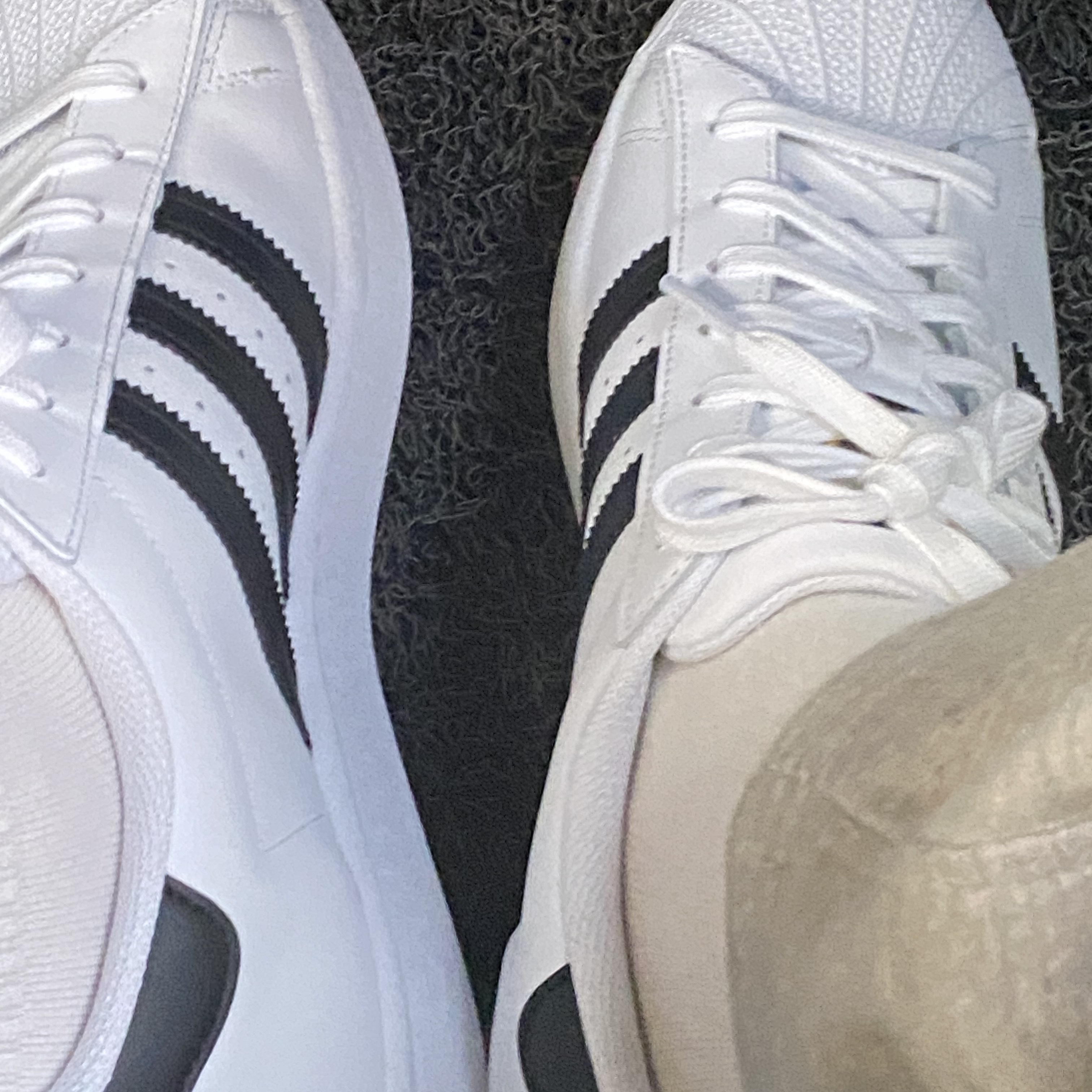 Adidas Superstar White Black 착용 스타일
