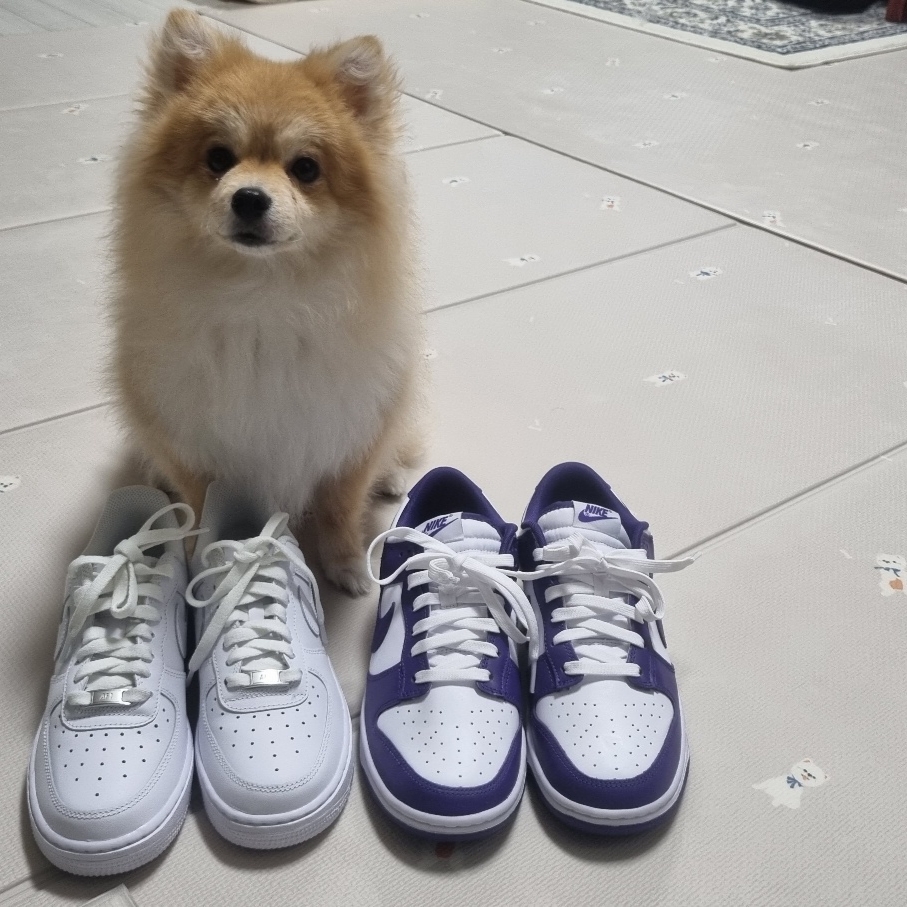 Nike Dunk Low Retro Championship Court Purple 착용 스타일 - 3