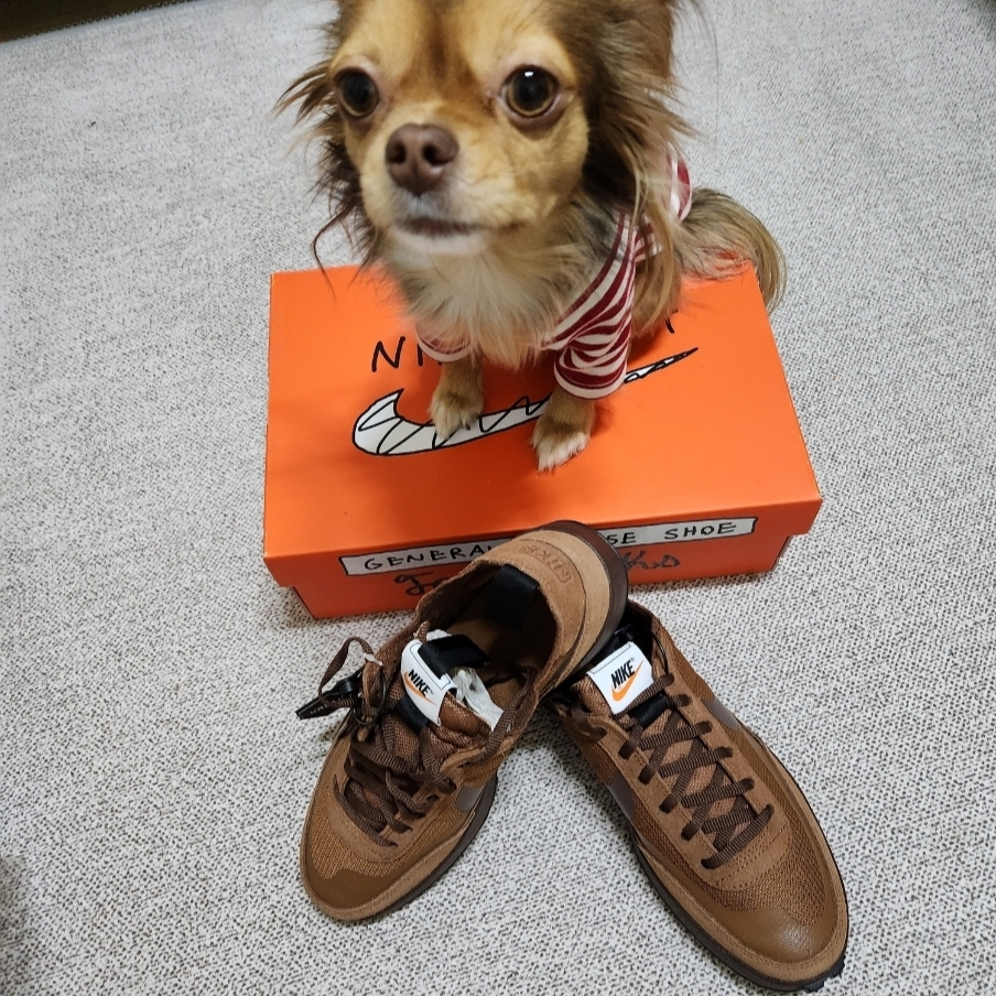 Nike x Tom Sachs General Purpose Shoe Brown 착용 스타일