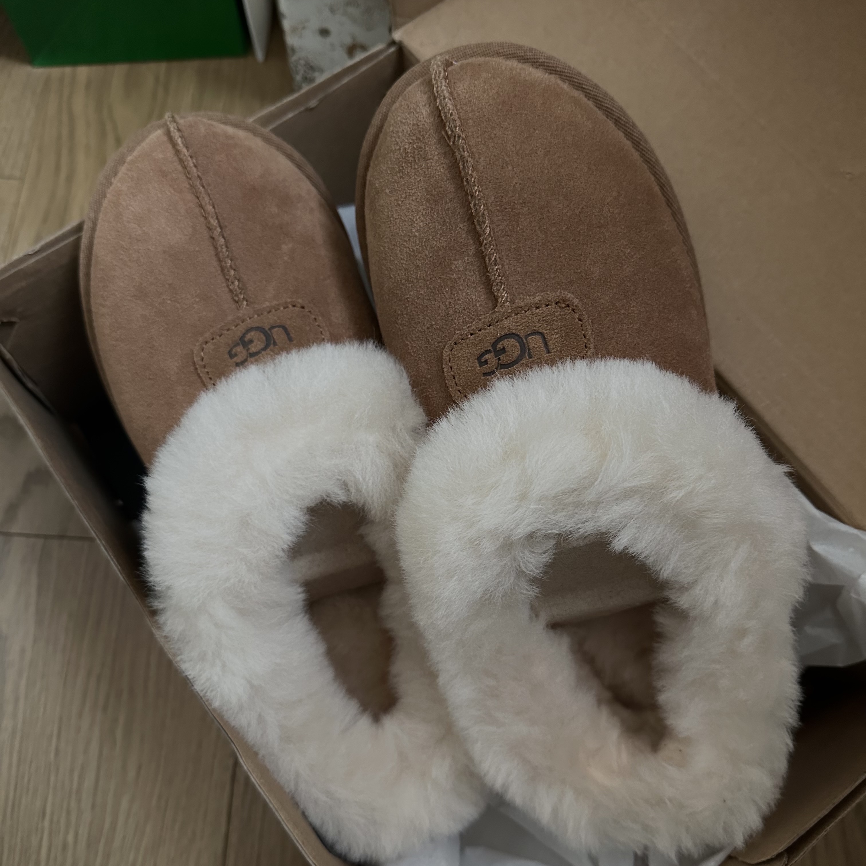 (W) UGG Tazzette Slipper Chestnut 착용 스타일