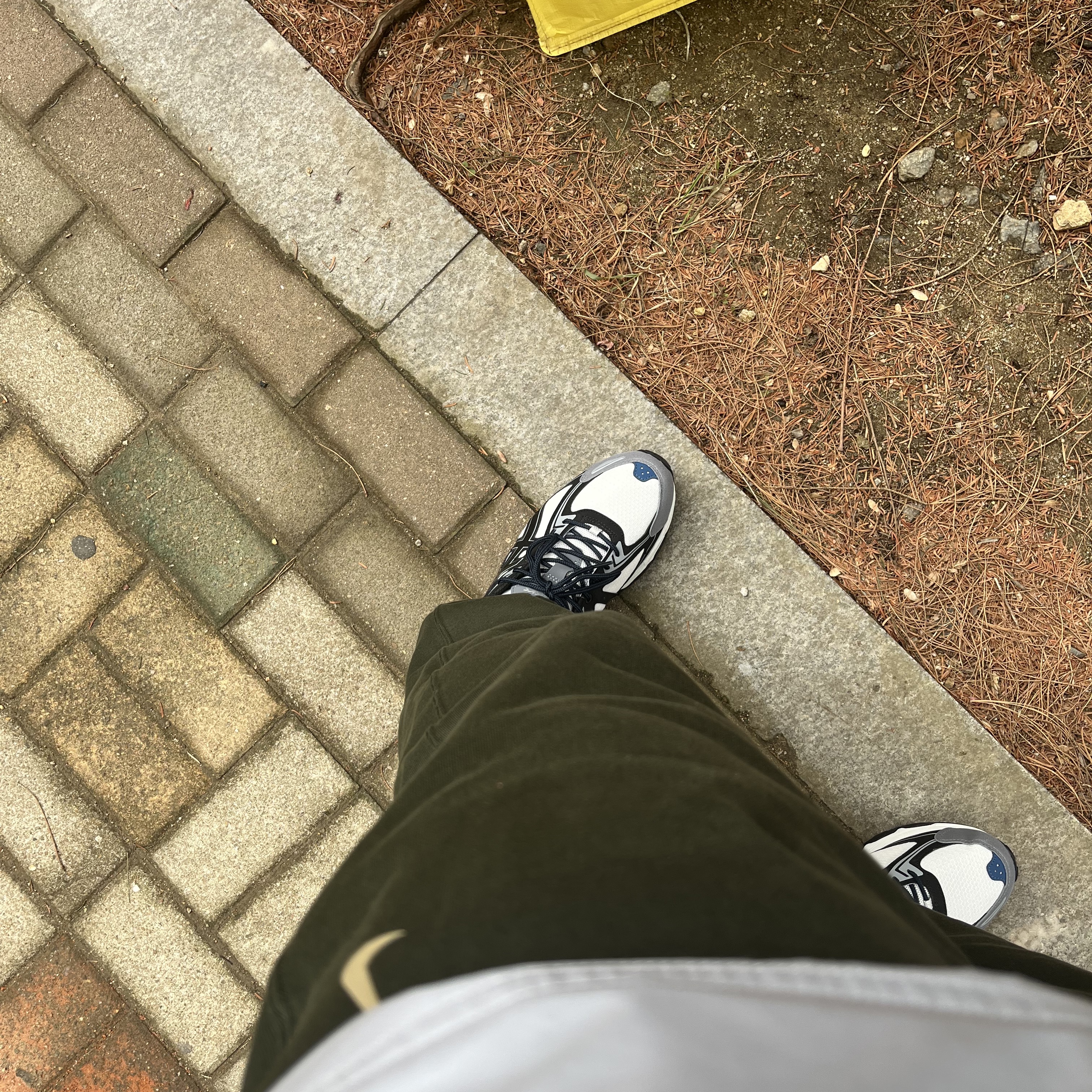 Nike x Billie Eilish NRG Fleece Pants Sequoia - Asia, Asics Gel-Venture 6 SPS Glacier Grey 착용 스타일