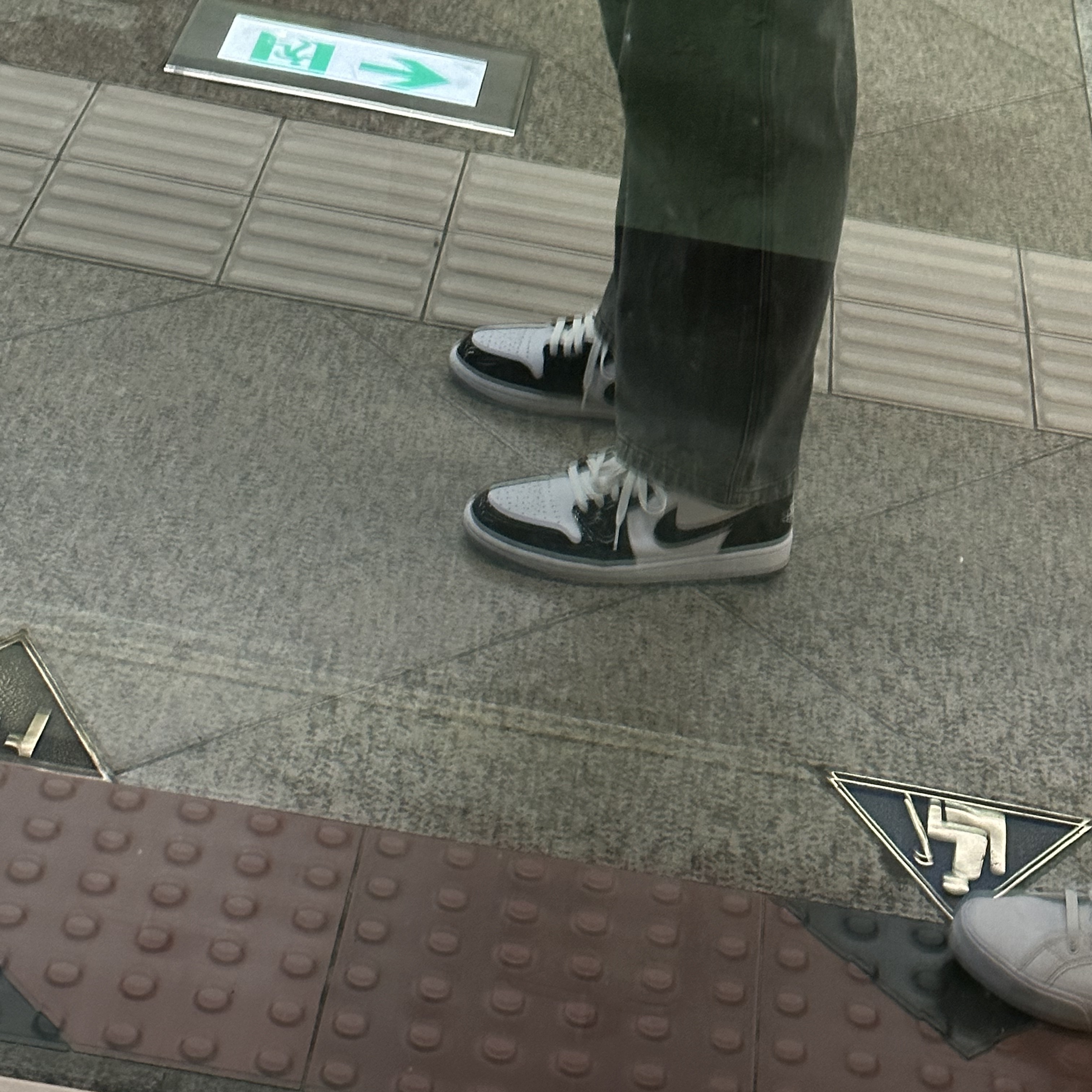 Jordan 1 Low SE Concord 착용 스타일