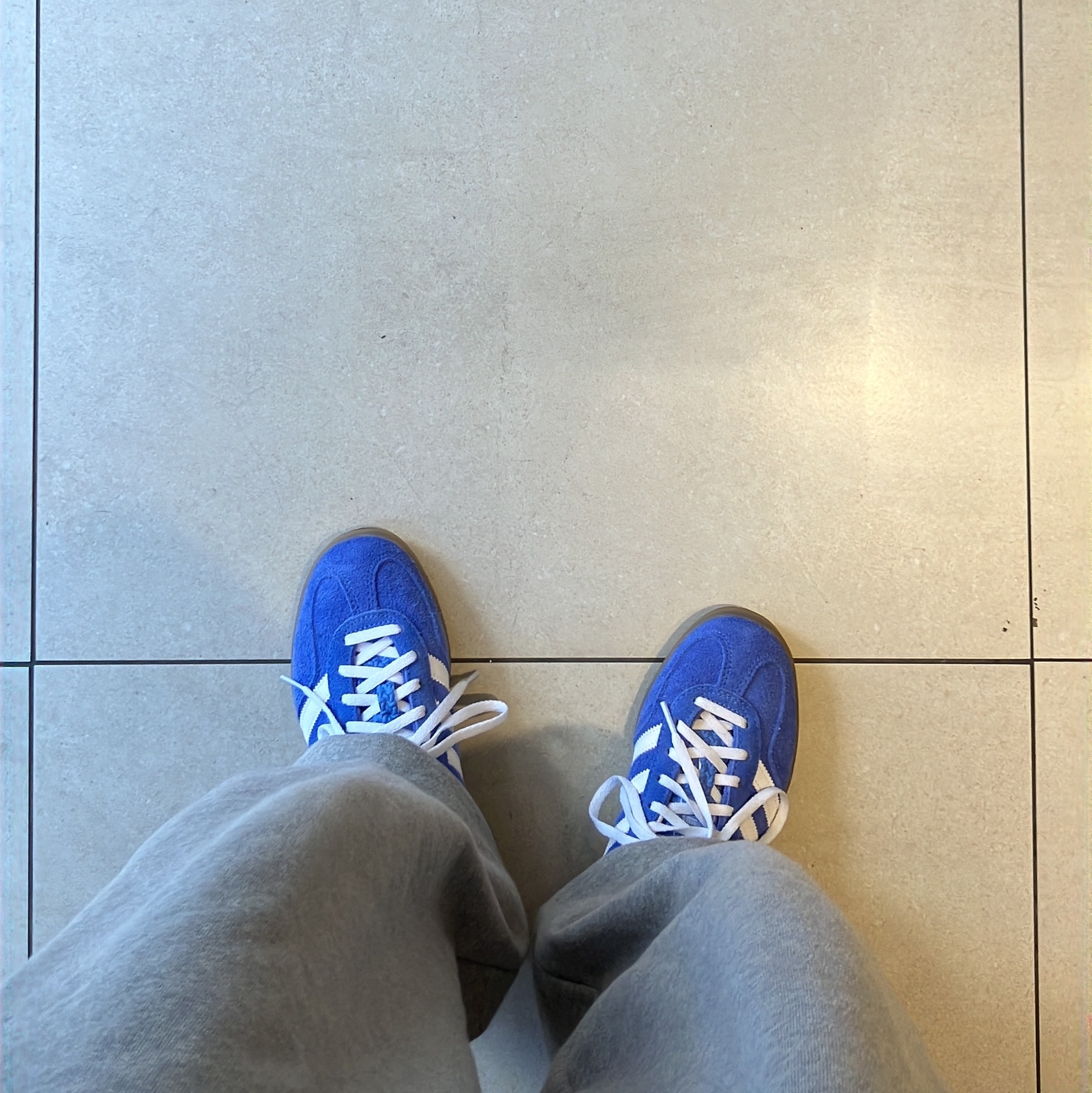(W) Adidas Gazelle Indoor Blue Fusion Cloud White 착용 스타일 - 3