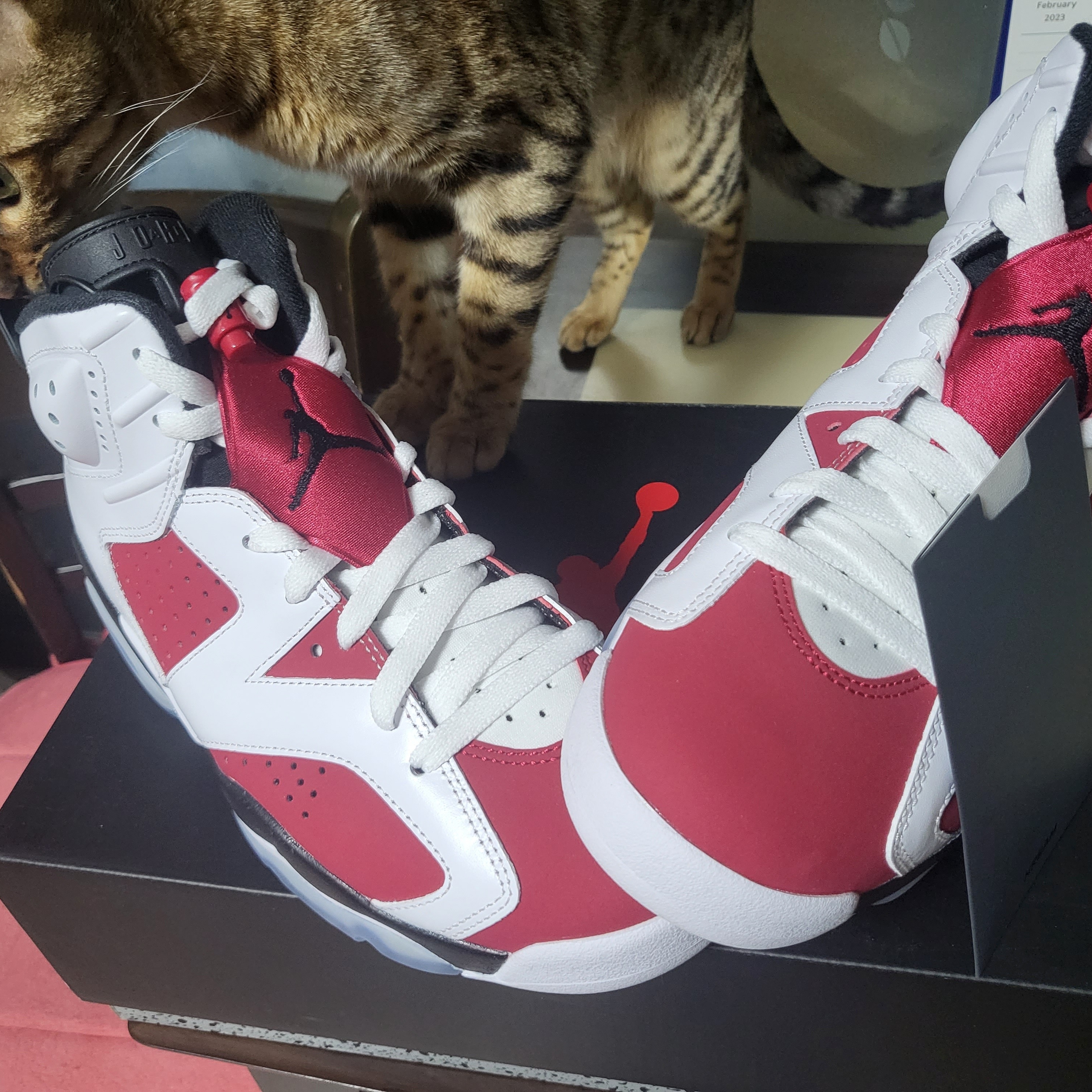 Jordan 6 Retro Carmine 2021 착용 스타일