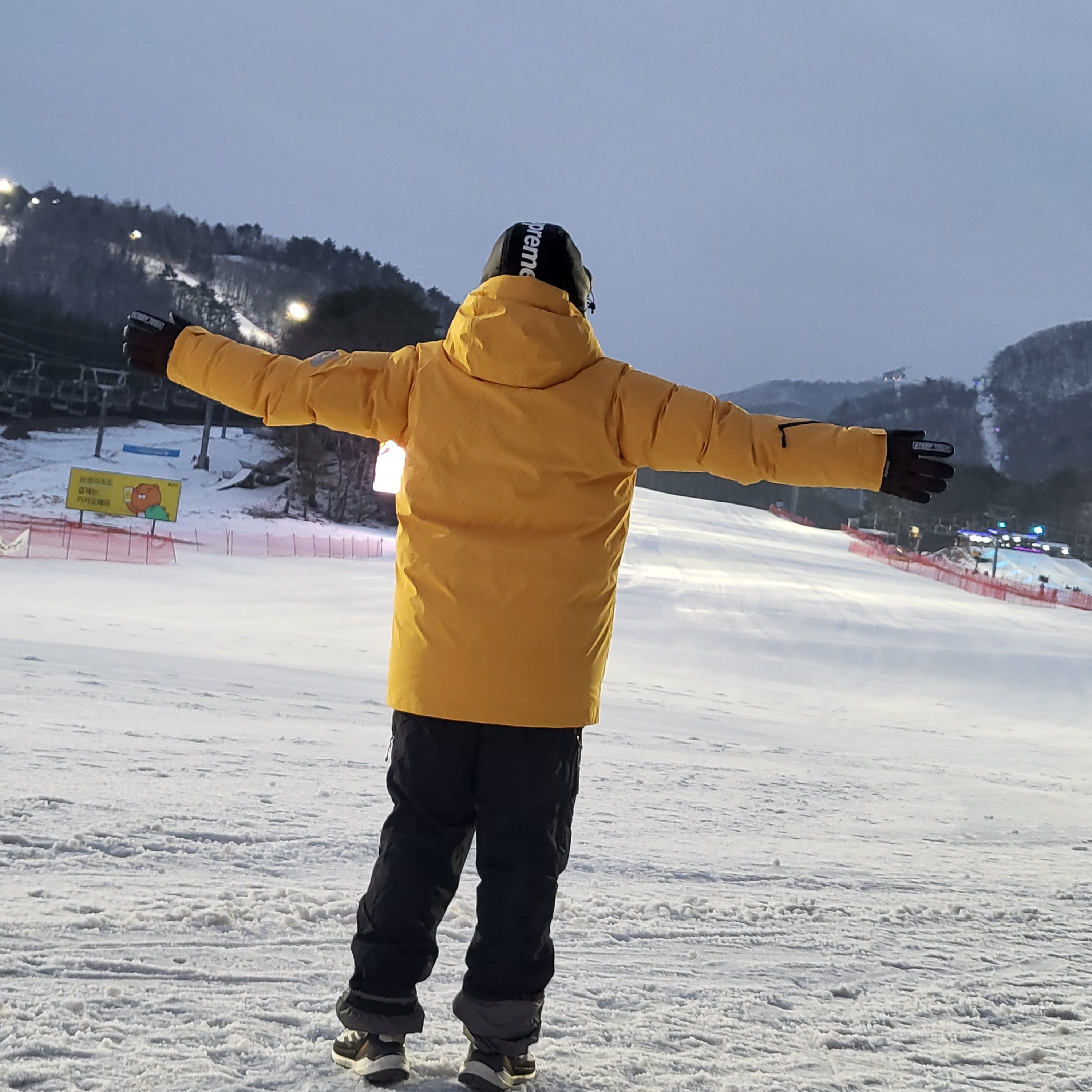 Palace Gore-Tex Arctic Cargo Parka Marigold - 21FW, Supreme x The North Face Steep Tech Gloves Brown - 22FW 착용 스타일