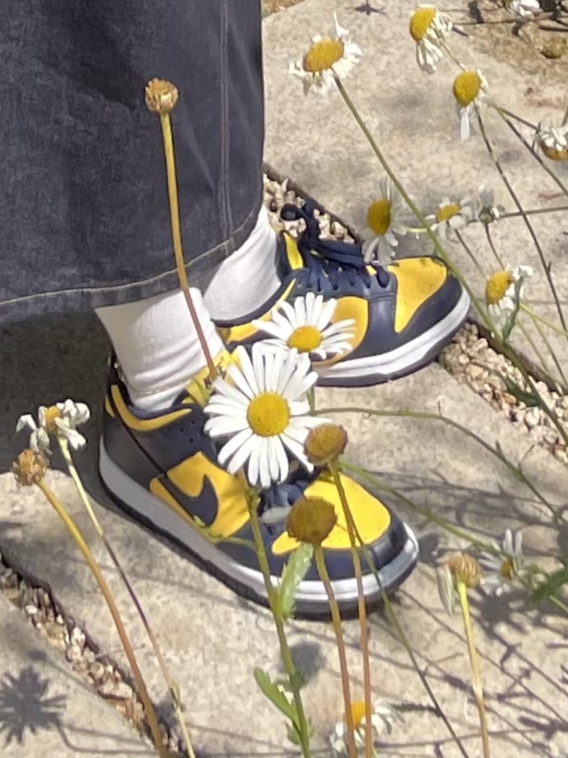 (GS) Nike Dunk Low Varsity Maize 착용 스타일 - 2