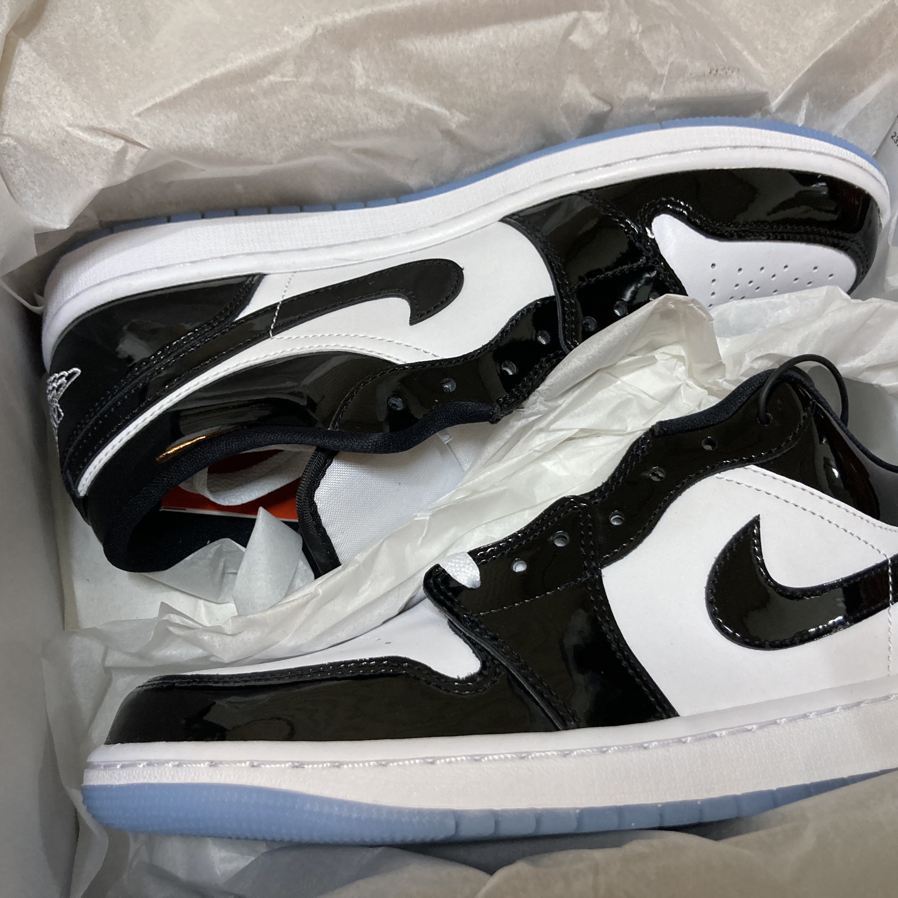 Jordan 1 Low SE Concord 착용 스타일