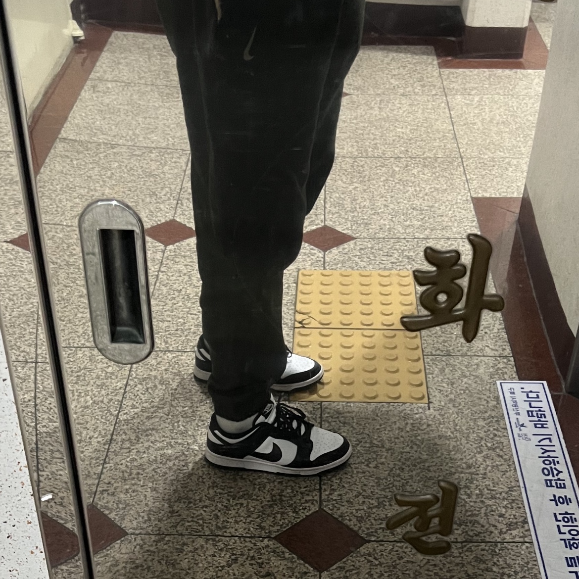 Nike Dunk Low Retro Black, Nike x Billie Eilish NRG Fleece Pants Sequoia - US/EU 착용 스타일