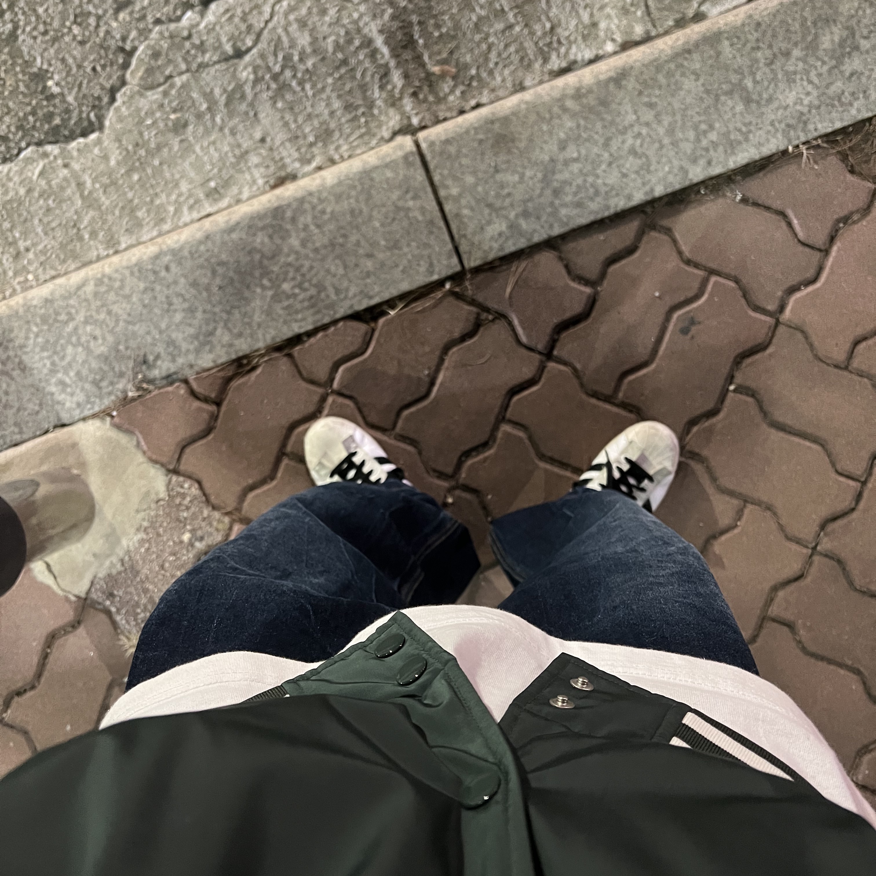 Typing Mistake Crack Washed Tuck Wide Denim Pants Indigo - 22FW, Adidas x Parley Superstar White 착용 스타일 - 1