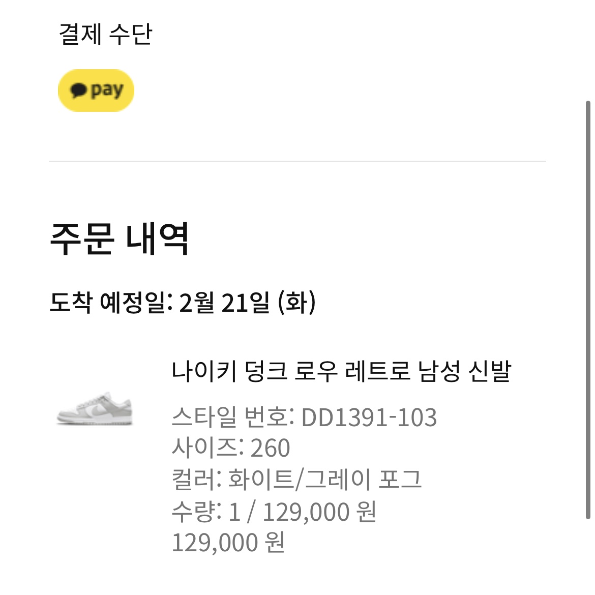 Nike Dunk Low Retro Grey Fog 착용 스타일