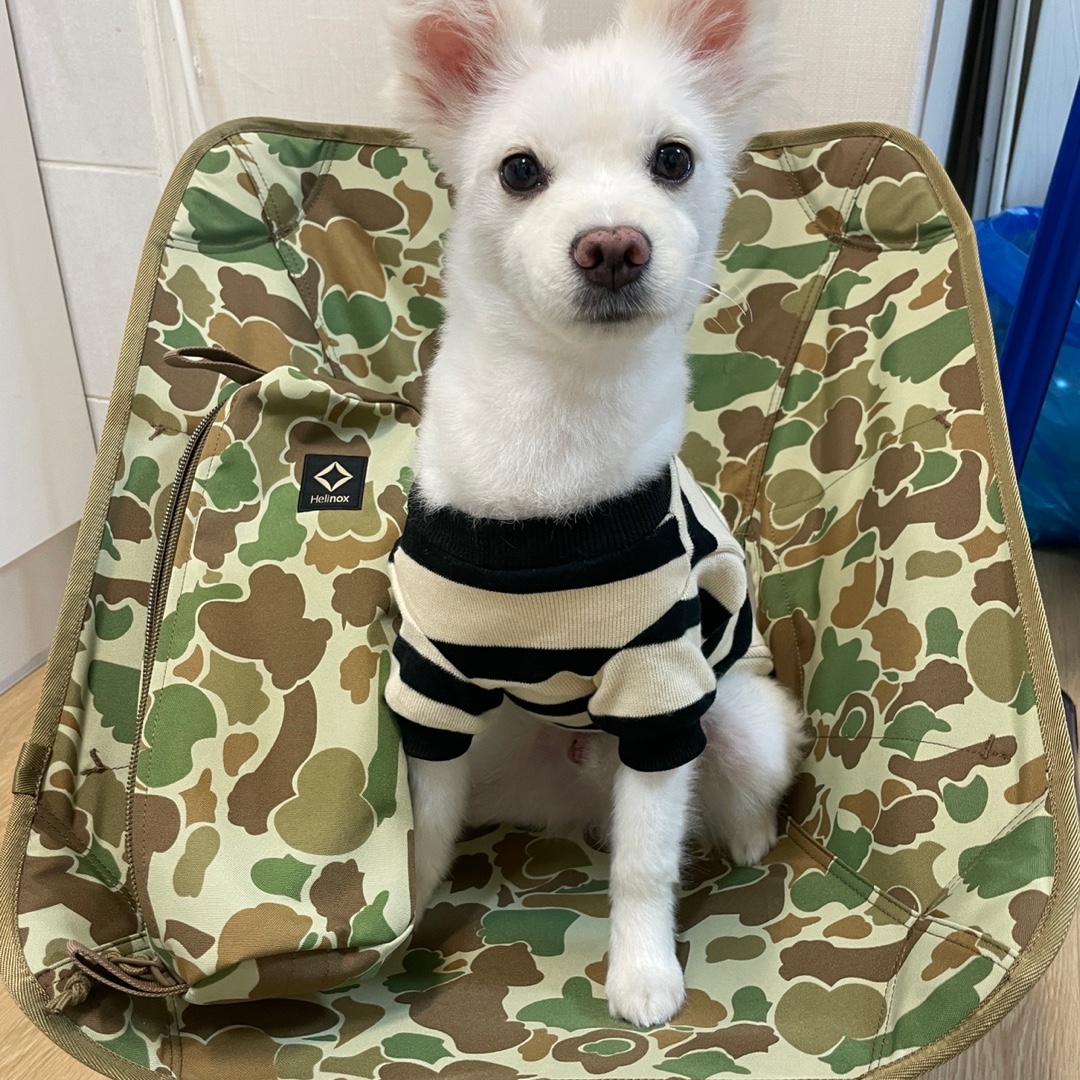 Helinox Tactical Chair Duck Camo 착용 스타일
