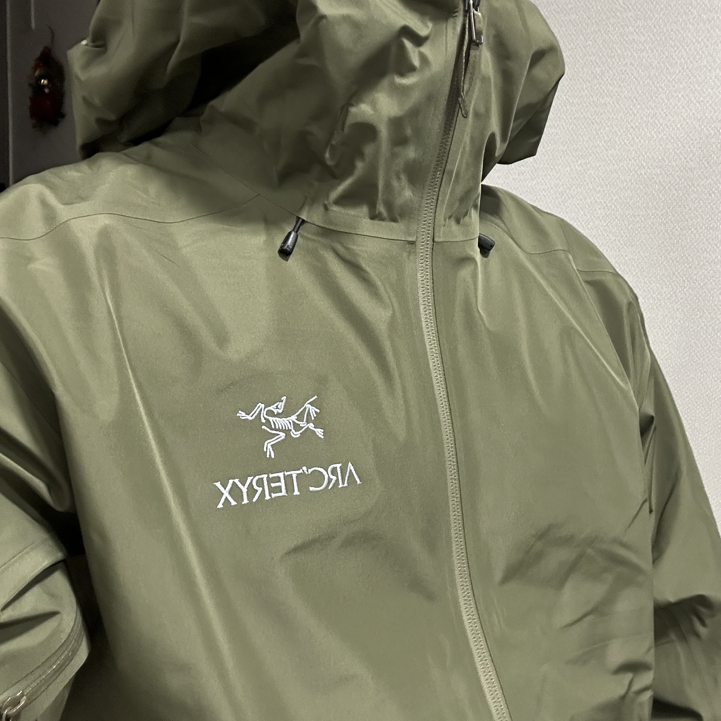 Arc'teryx Beta LT Jacket Tatsu 착용 스타일