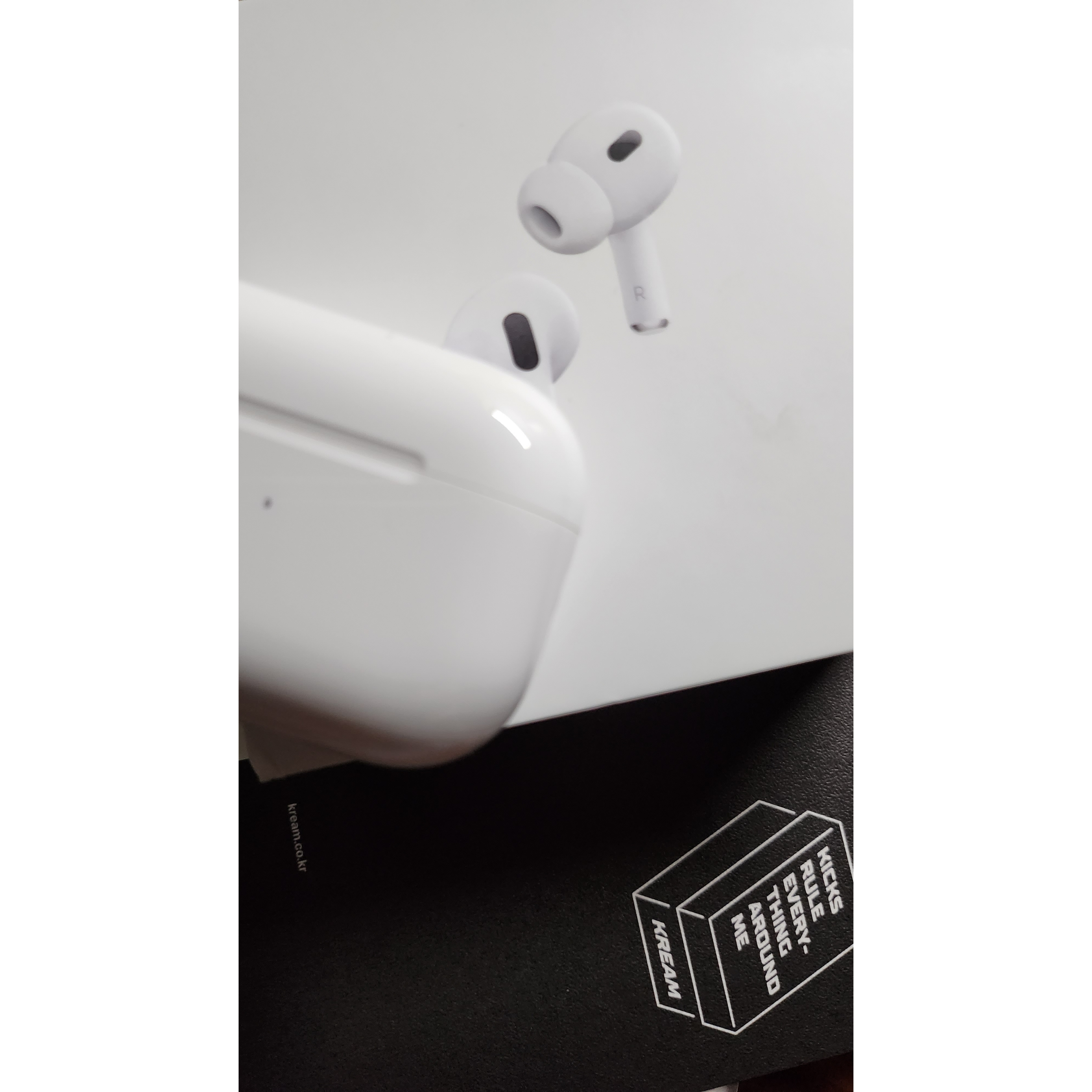 Apple AirPods Pro 2nd Gen (Korean Ver.) 착용 스타일